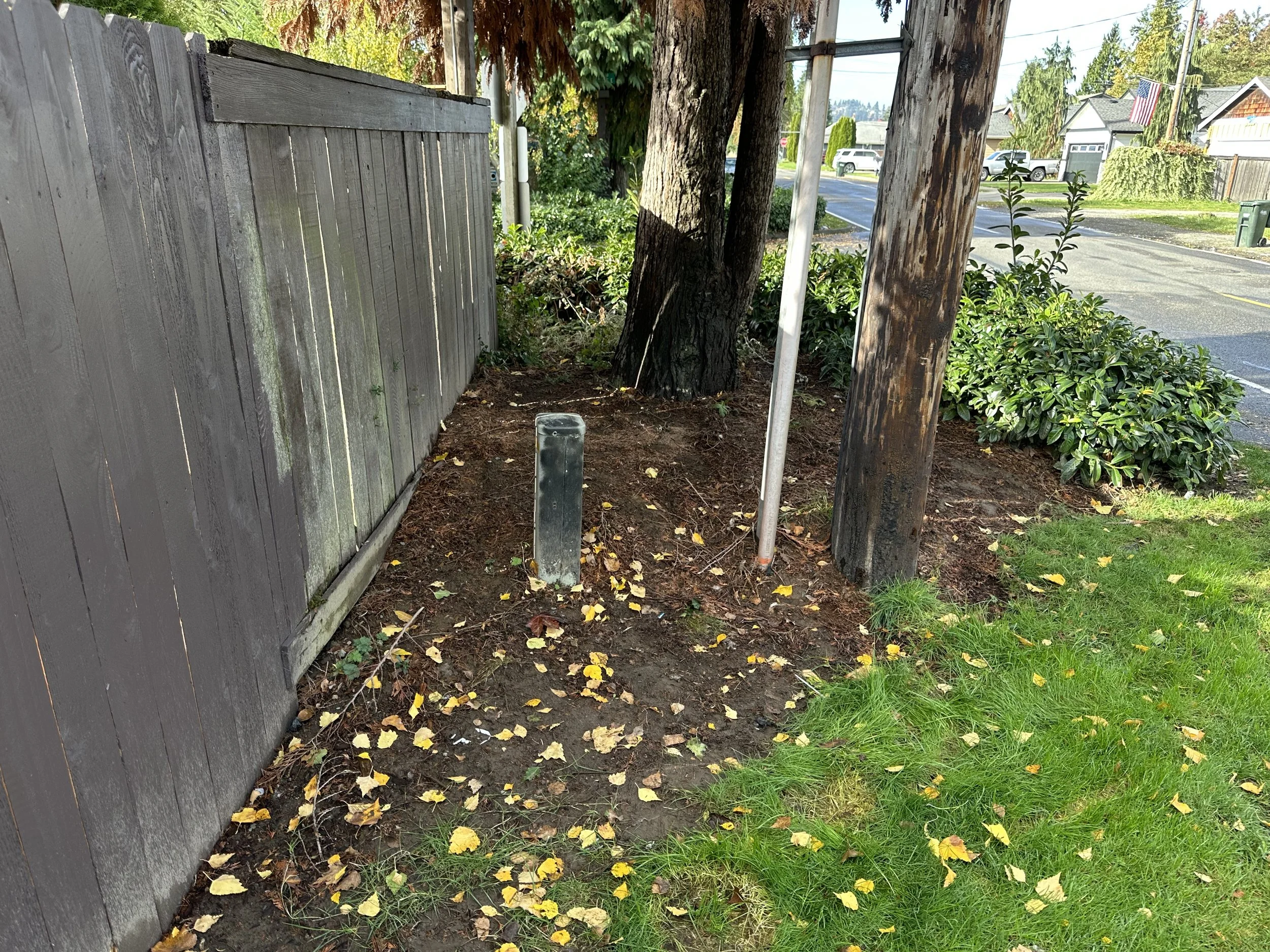 AFTER — Front entrance area cleared of abandoned junk and debris.