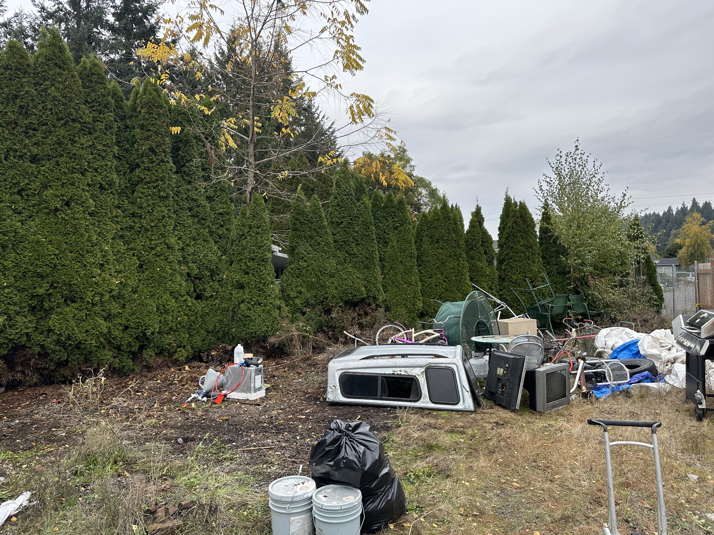 DAY 2 — More progress clearing long-buried items.