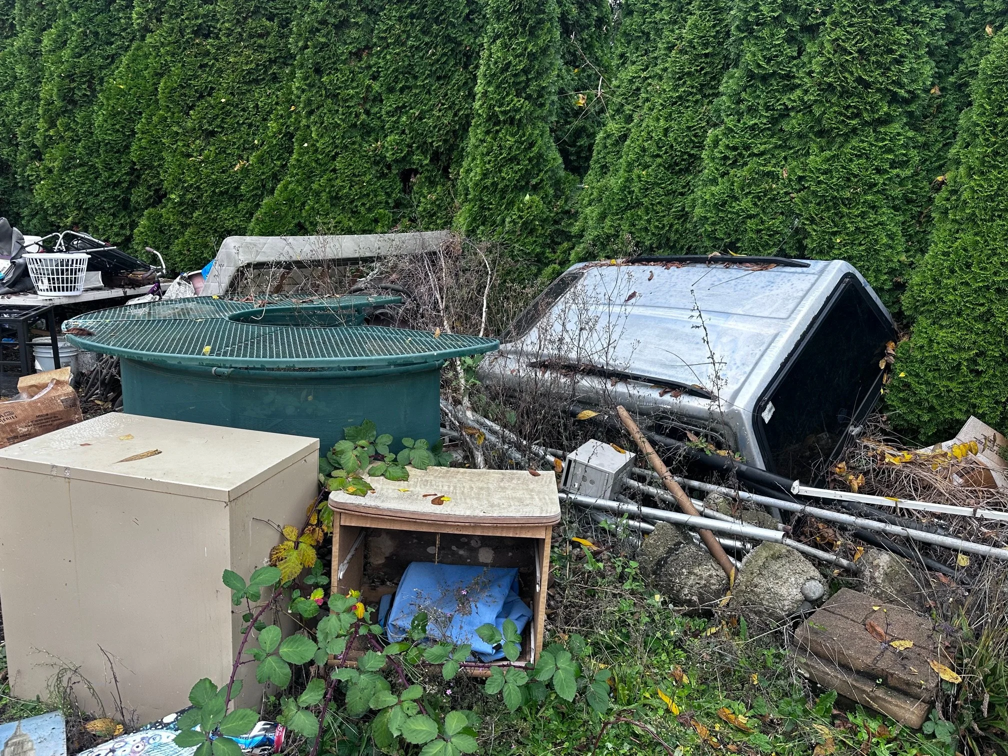 BEFORE — Abandoned truck canopy, tank, and cabinets buried in brush. Metal fence posts, with concrete attached.