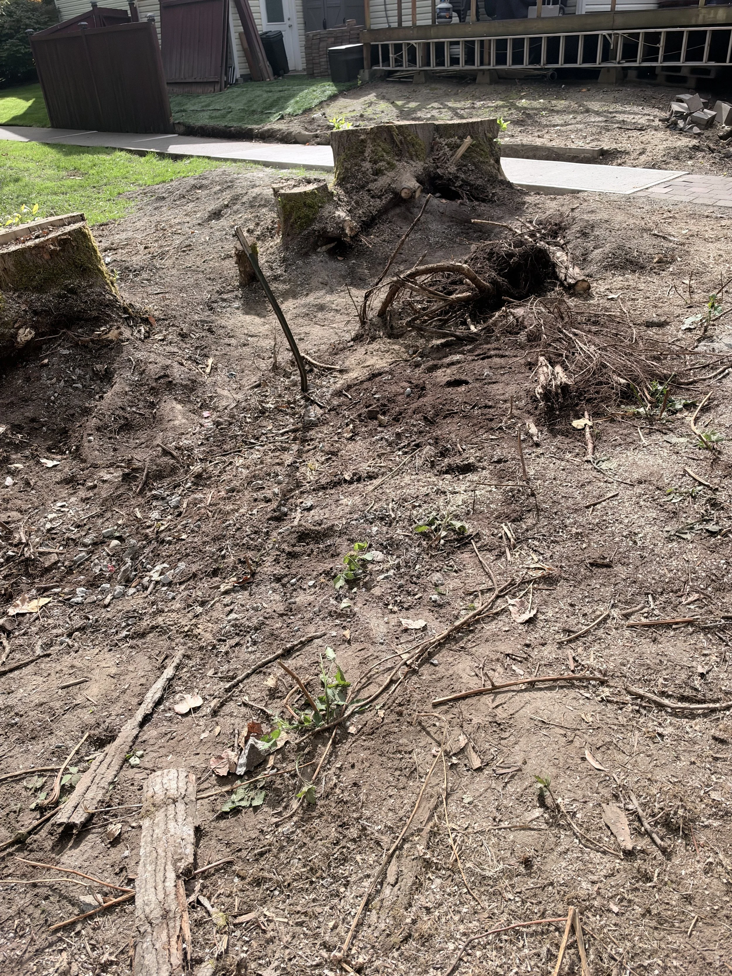 Cleared ground at Sweetbriar HOA after Just Ask Alex removed the demolished concrete sidewalk material.