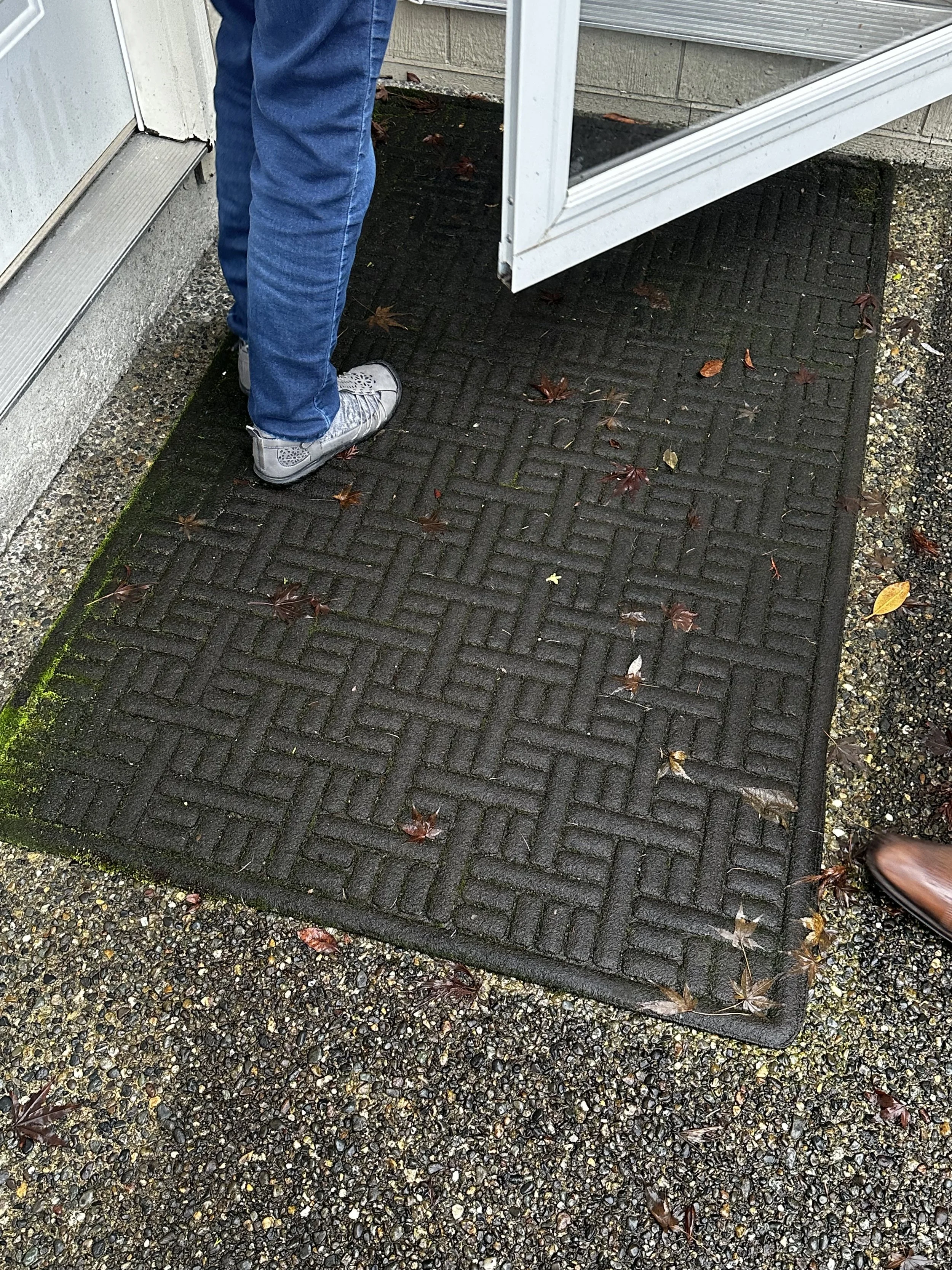 Before — Welcome mat and small debris at the entry.