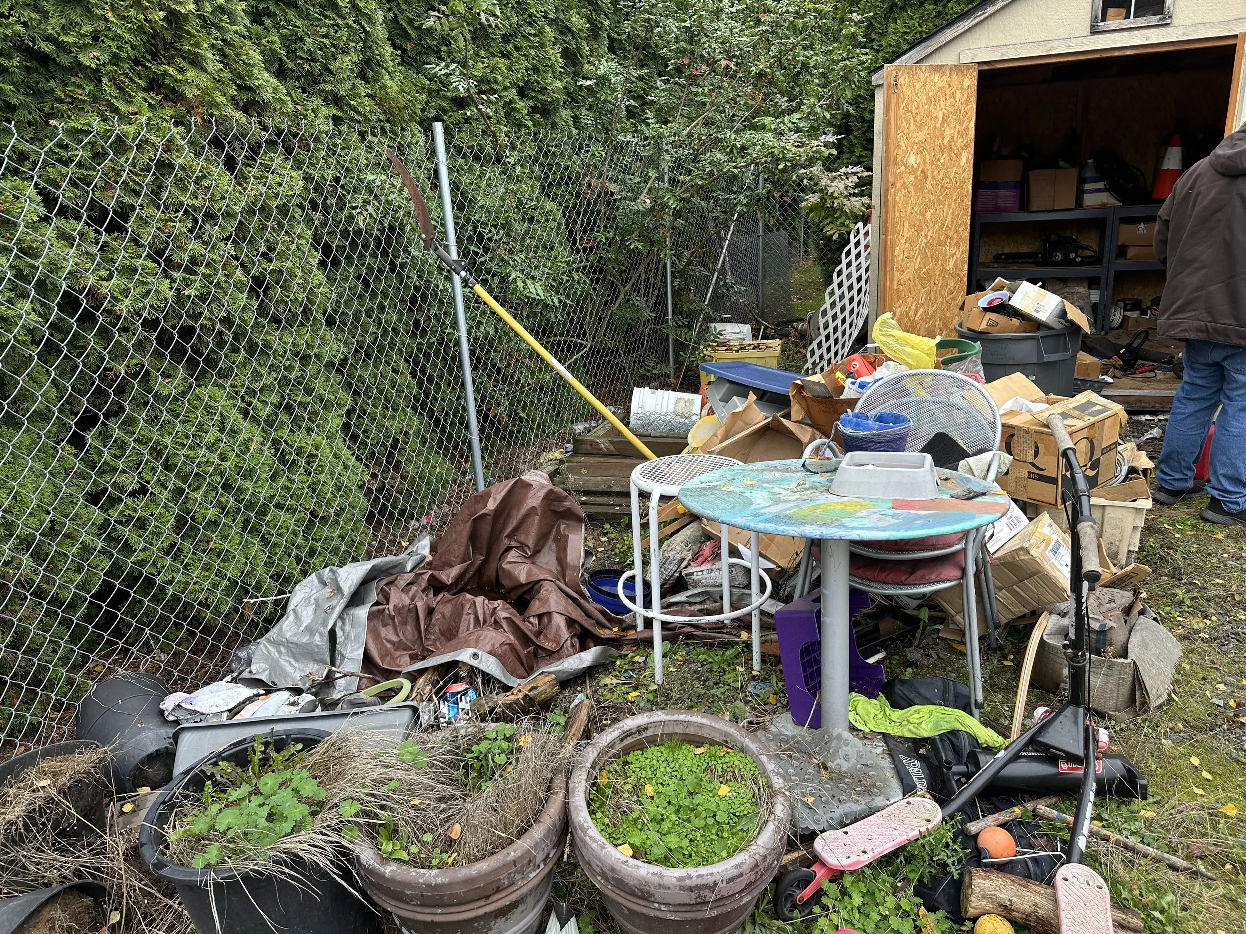 DAY 3 — Starting the morning by sorting the remaining debris around the shed.