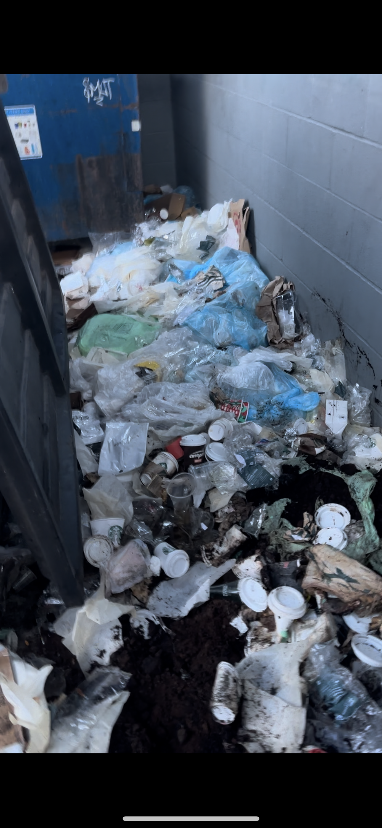 Dumpster enclosure with heavy trash overflow including plastic cups, bags, and debris behind a commercial dumpster before cleanup at a commercial property in Washington.