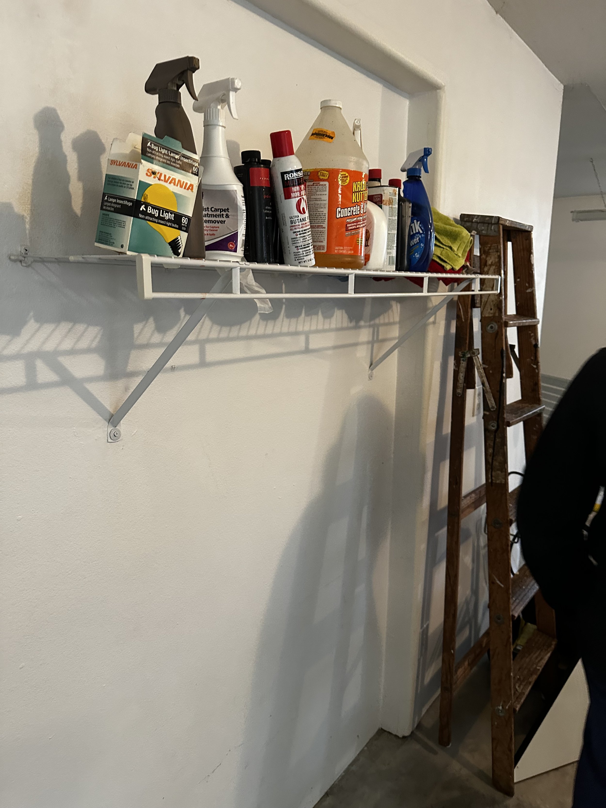Before — Garage shelf with old chemicals.