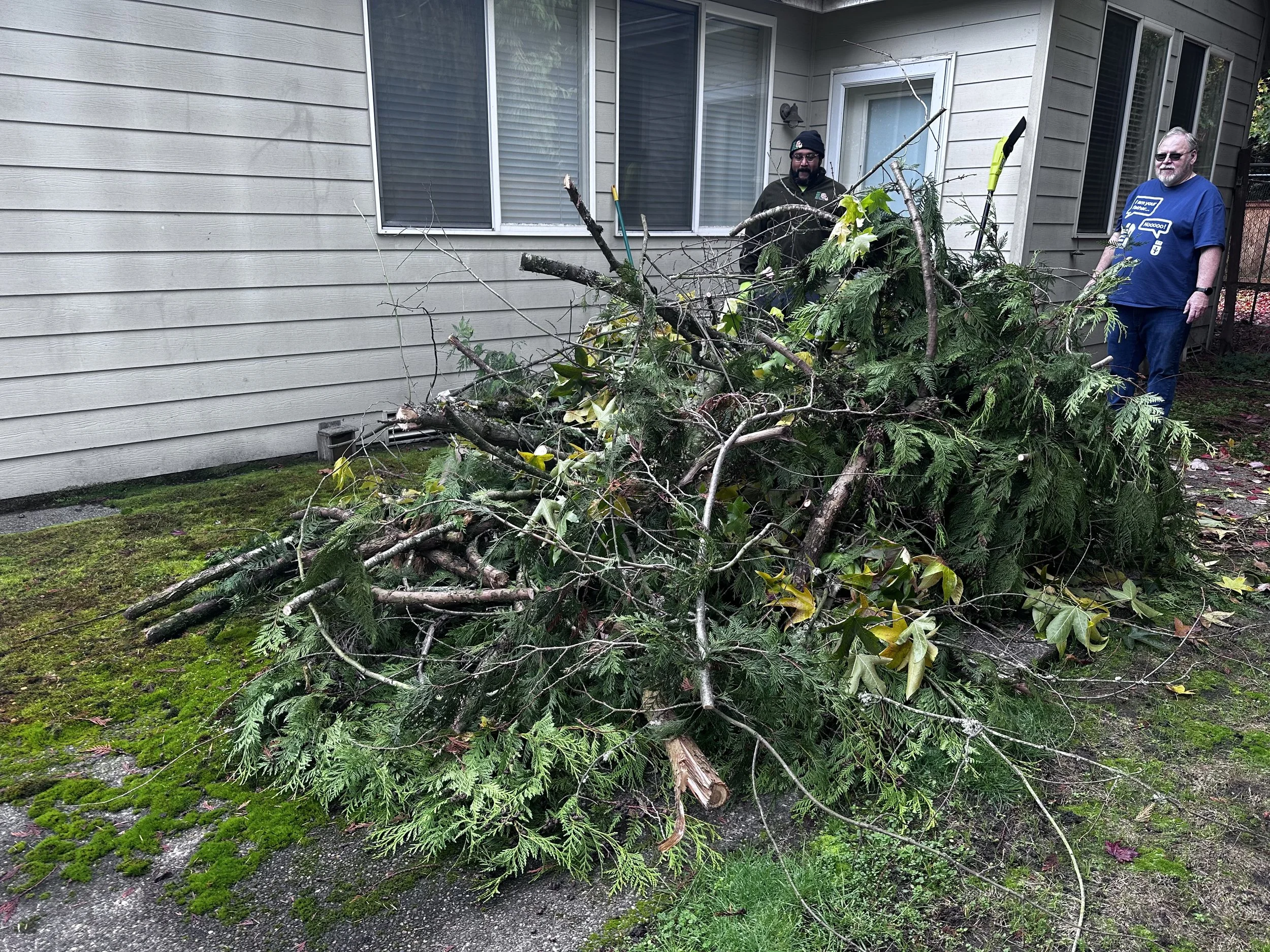 Large pile of freshly cut branches and limbs waiting for removal in the customer’s backyard-Puyallup, WA