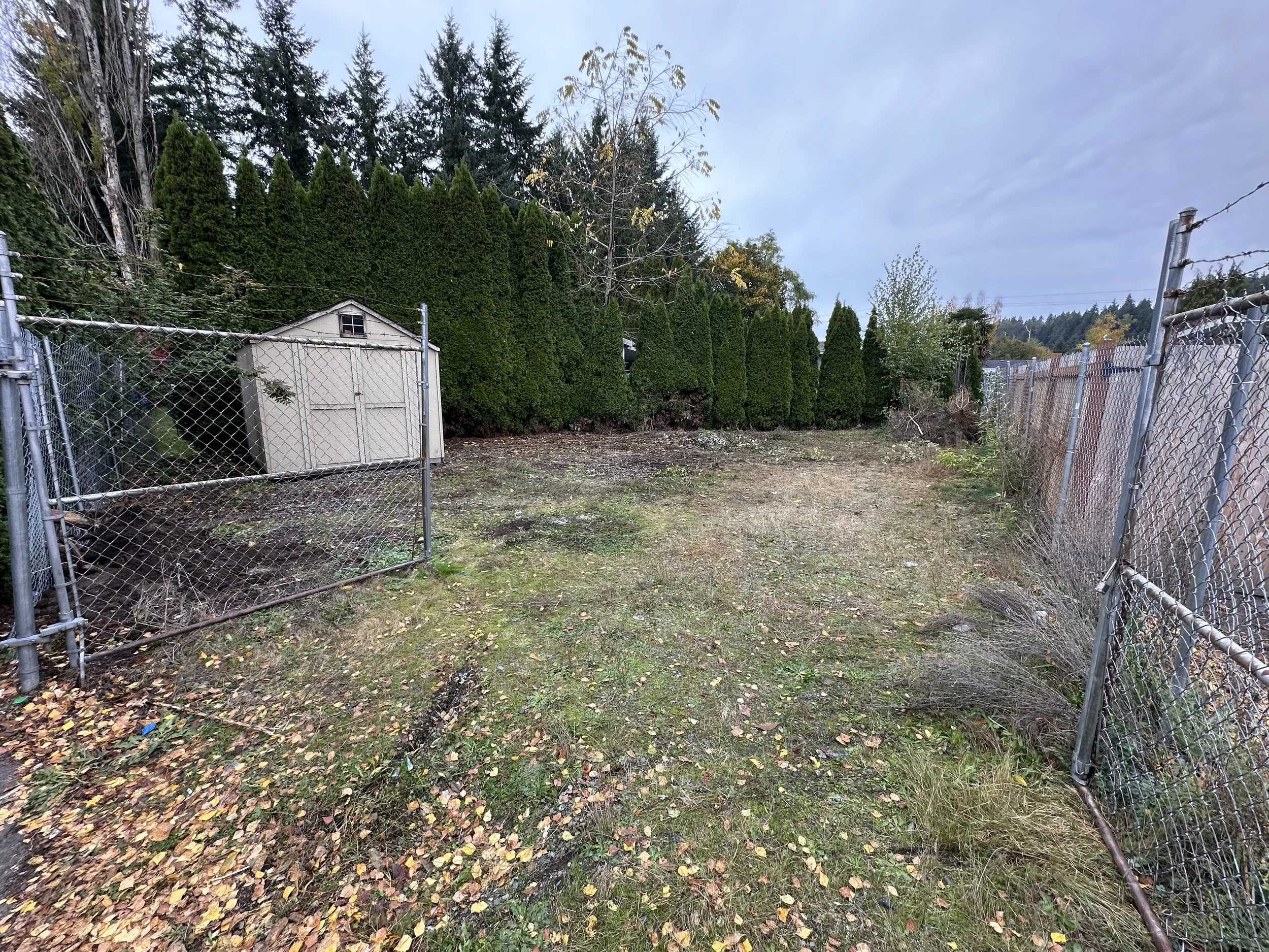 AFTER — Lot fully opened up and cleared along the fence line.