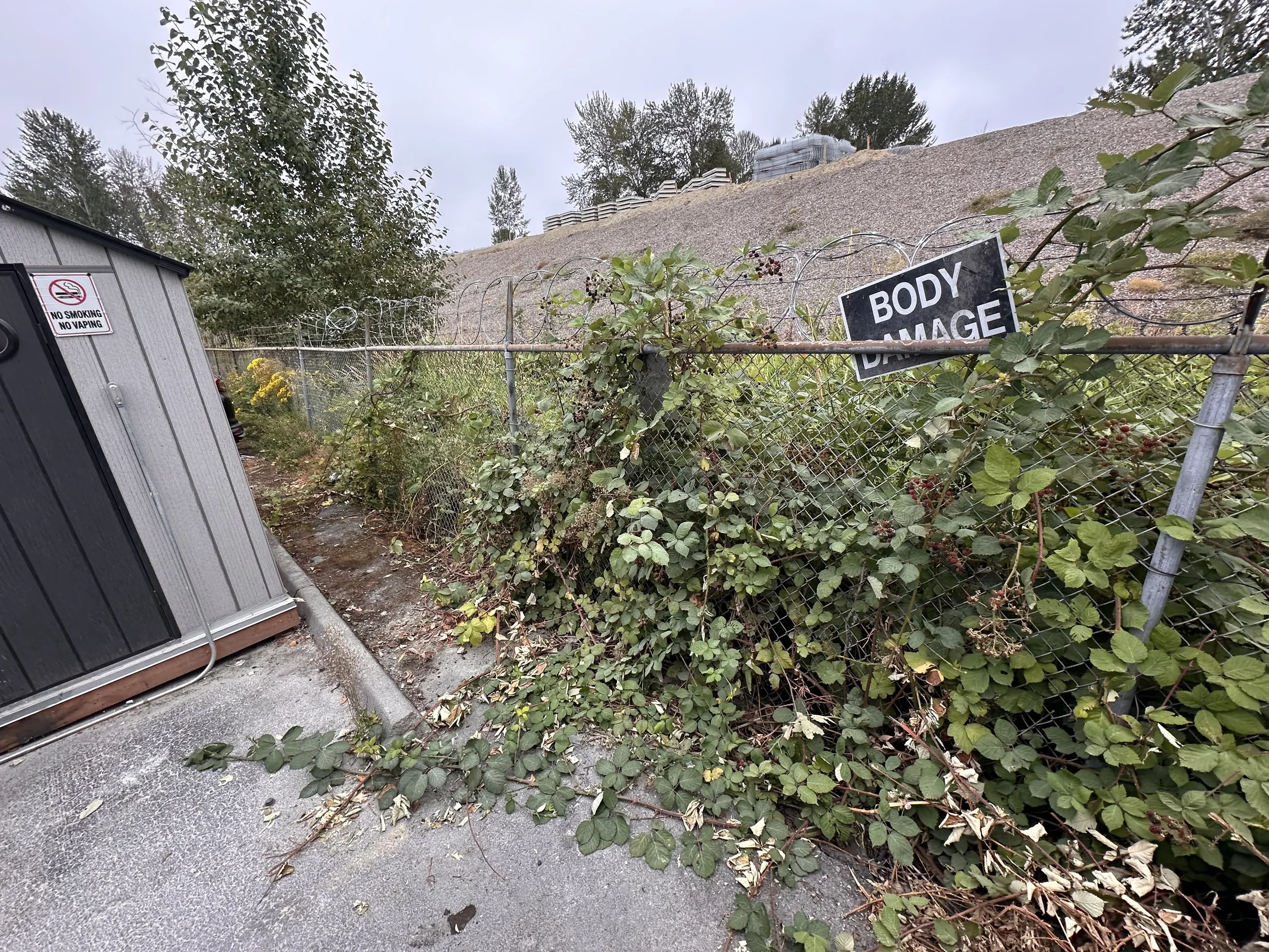 Exterior area beside the Dent Wizard facility in Burien after removal of accumulated cardboard and commercial debris.