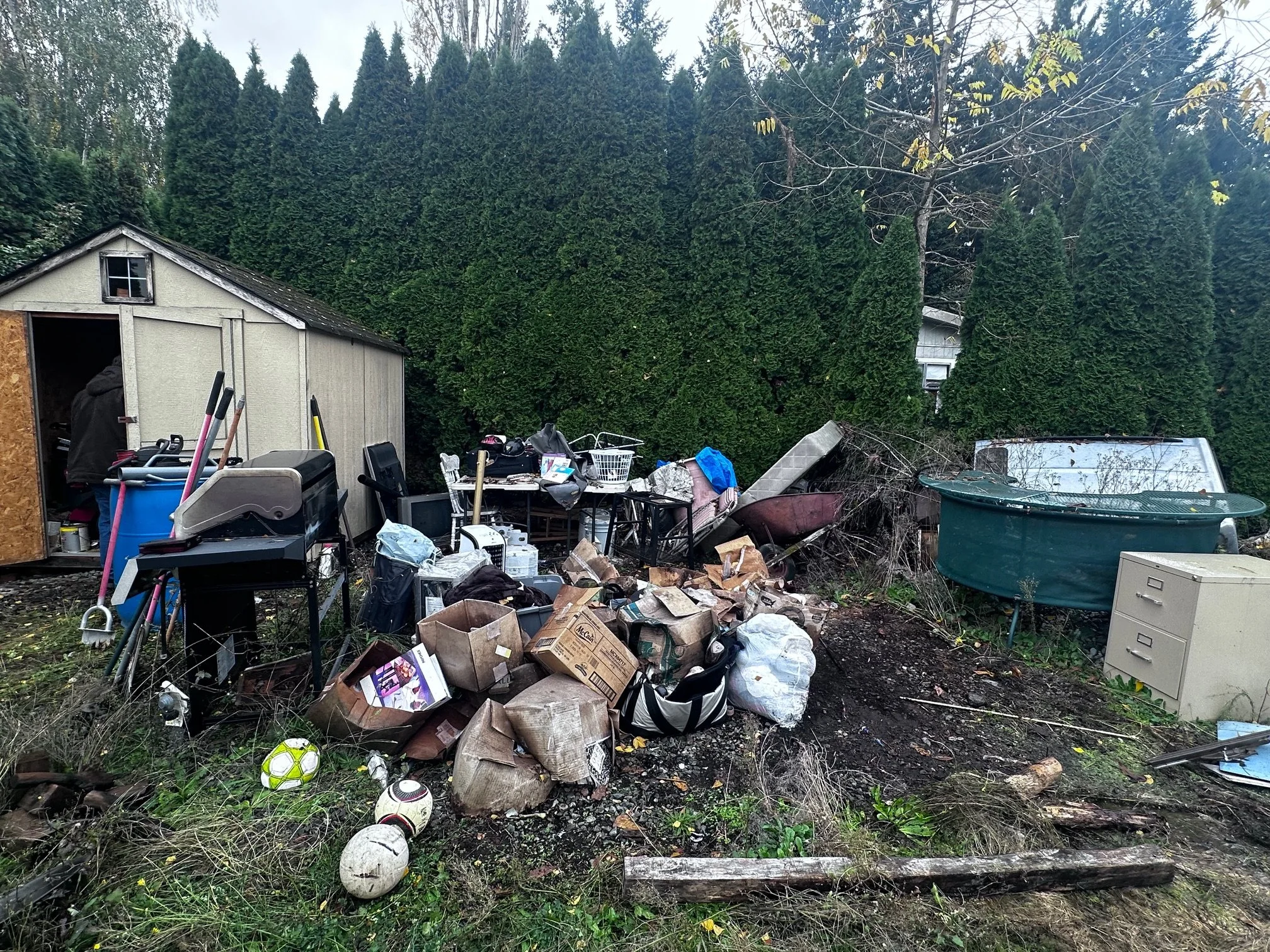 BEFORE — Overgrown lot filled with junk, brush, and abandoned items.