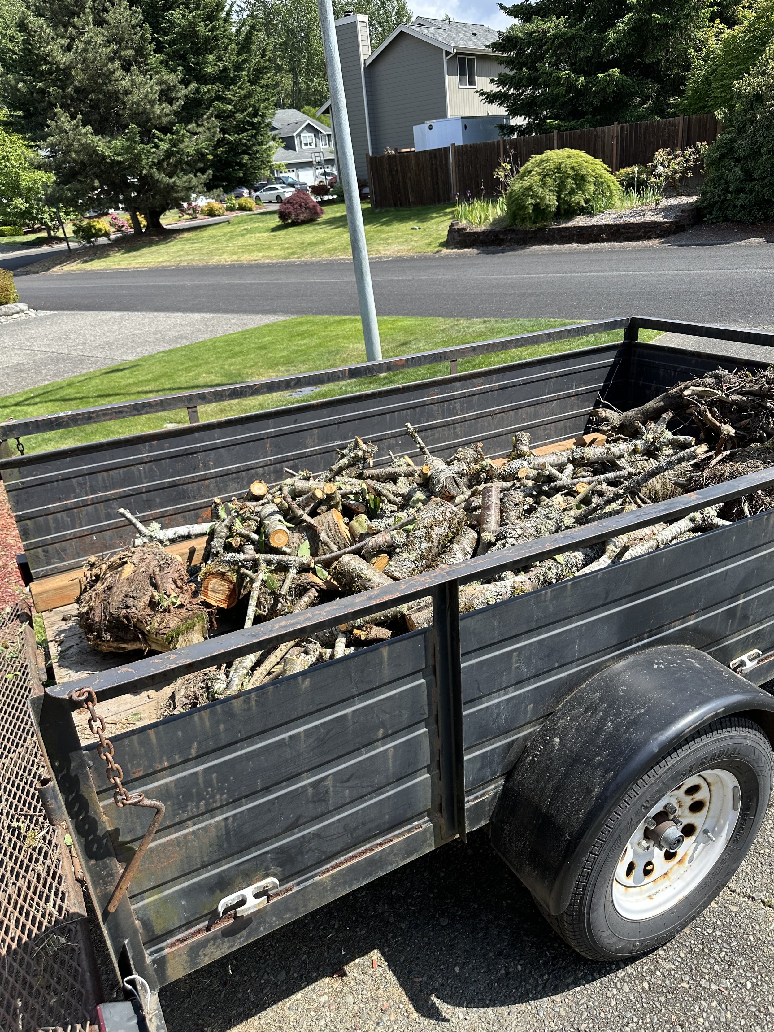 Trailer fully loaded with cherry logs and branches ready for disposal.