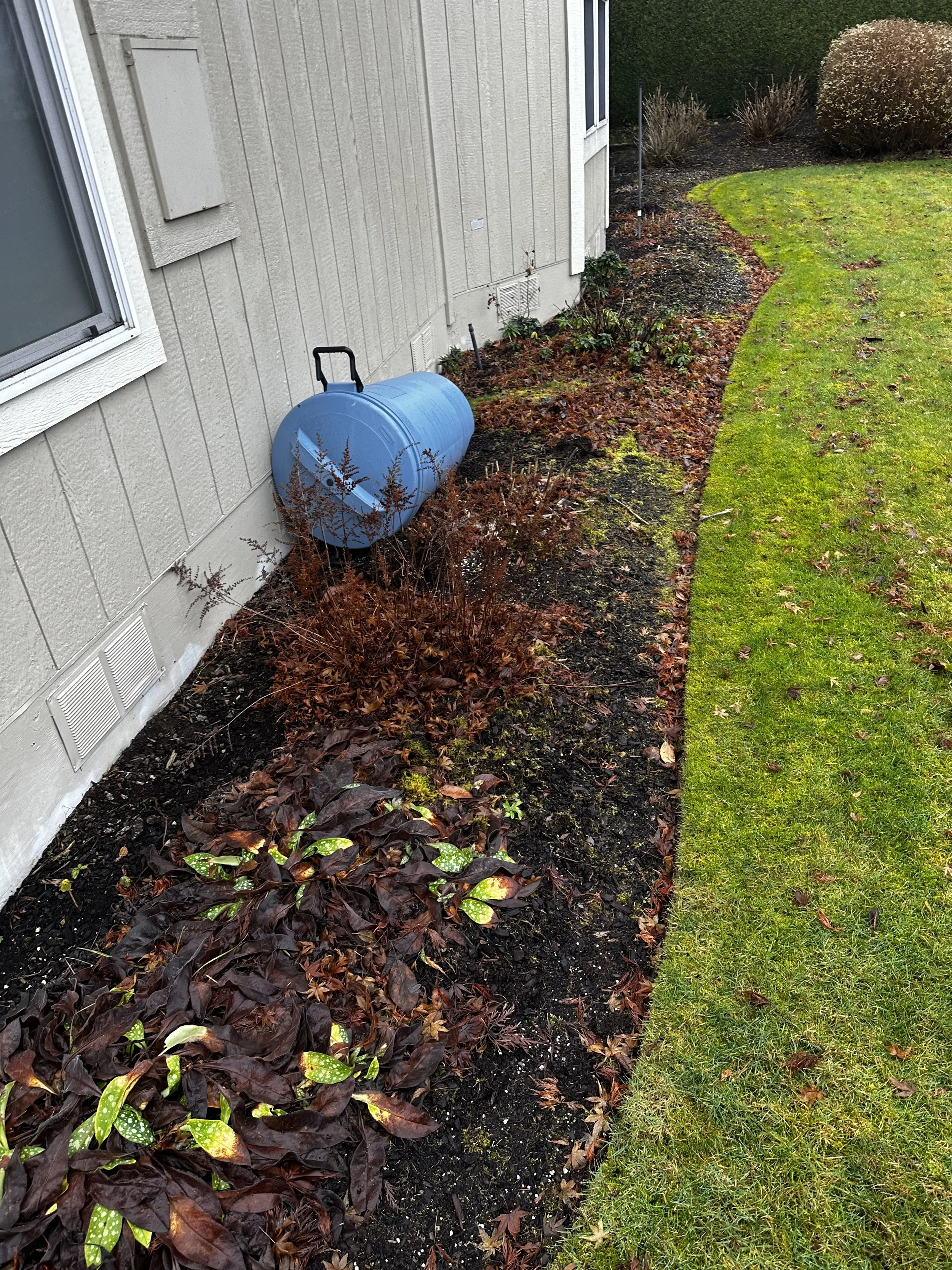 Before — Old blue yard trash can and garden debris.