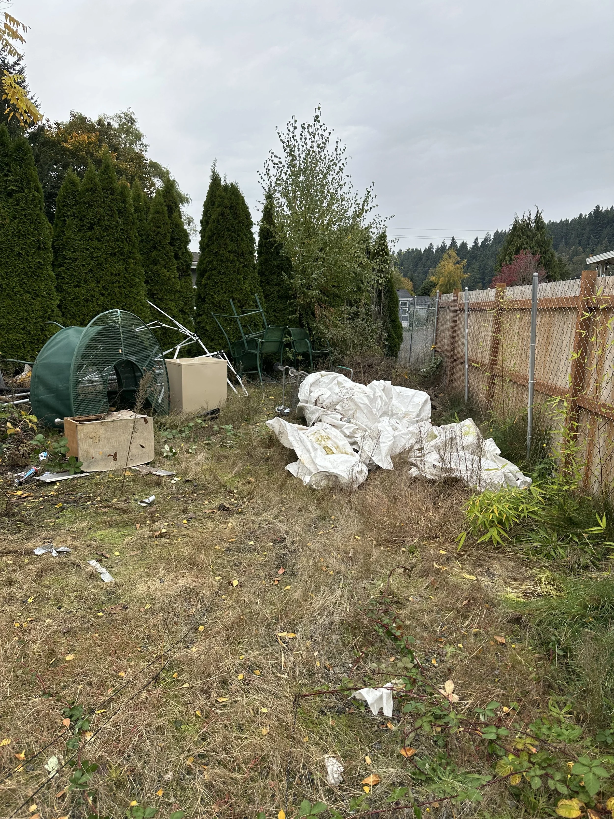 Before — tarps, metal frames, and debris stacked along the fence line.