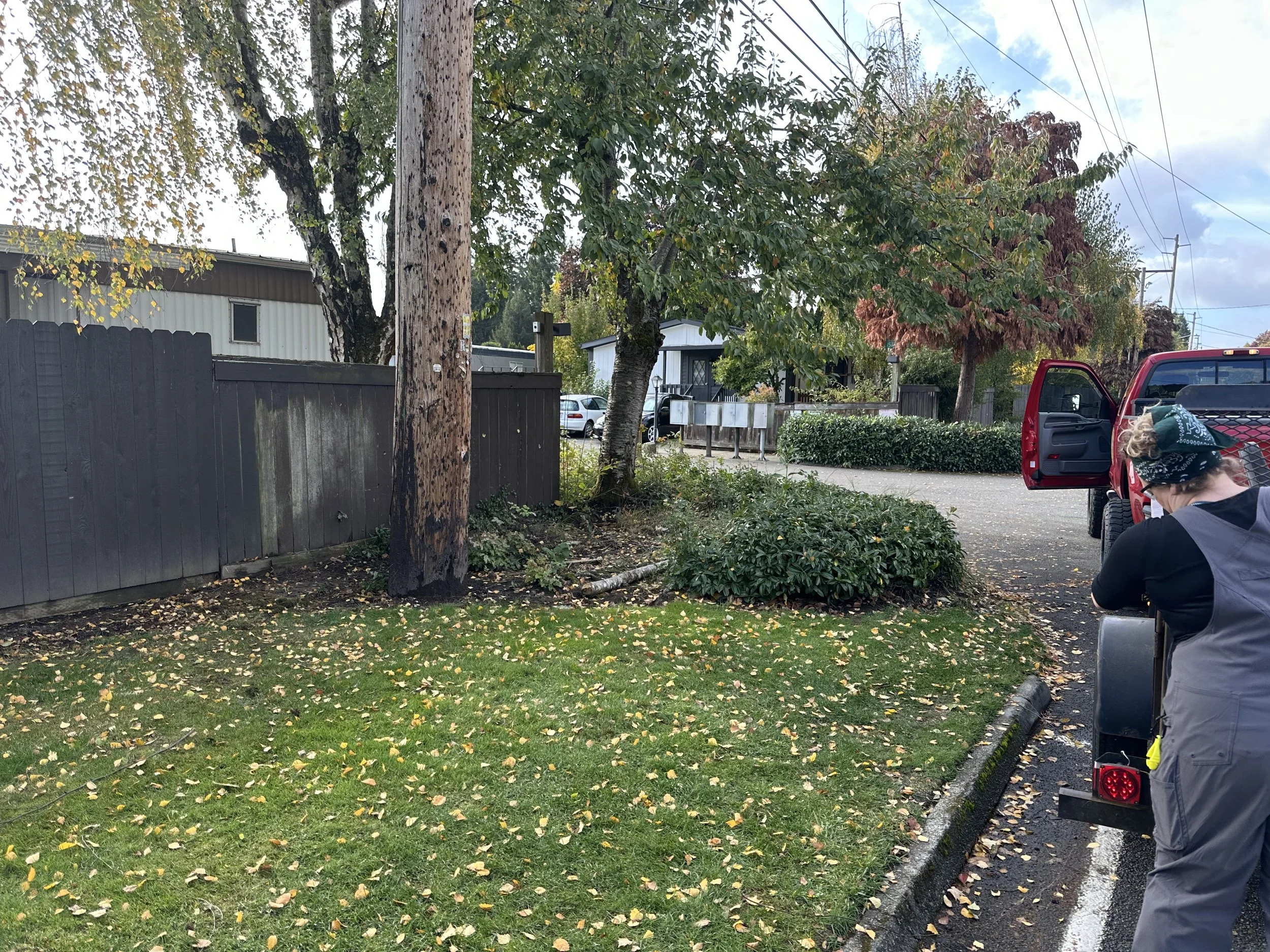 AFTER — Final sweep at the park entrance showing the completed cleanup work.