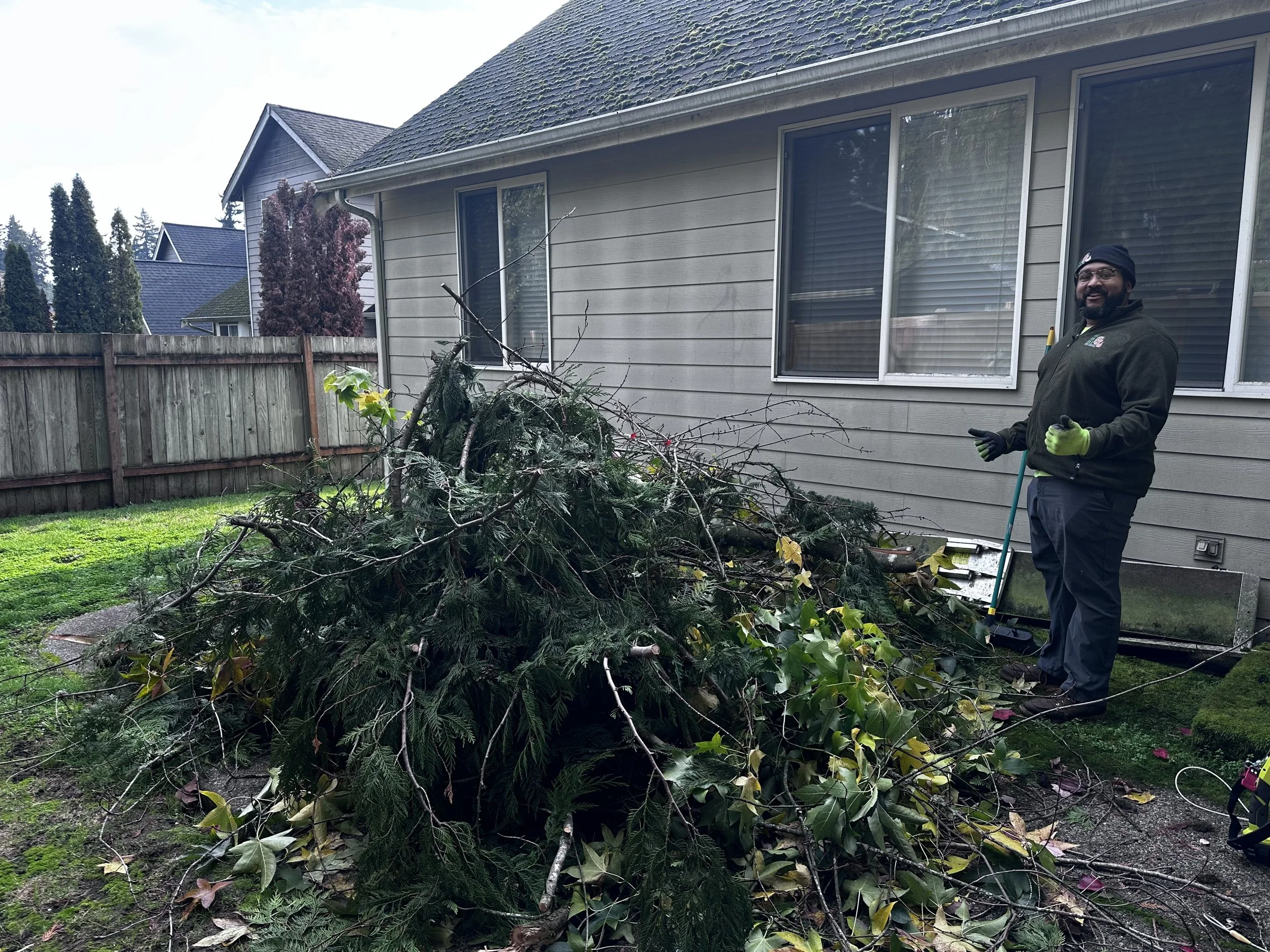 Second angle showing the full size of the brush pile after the homeowner trimmed his trees.