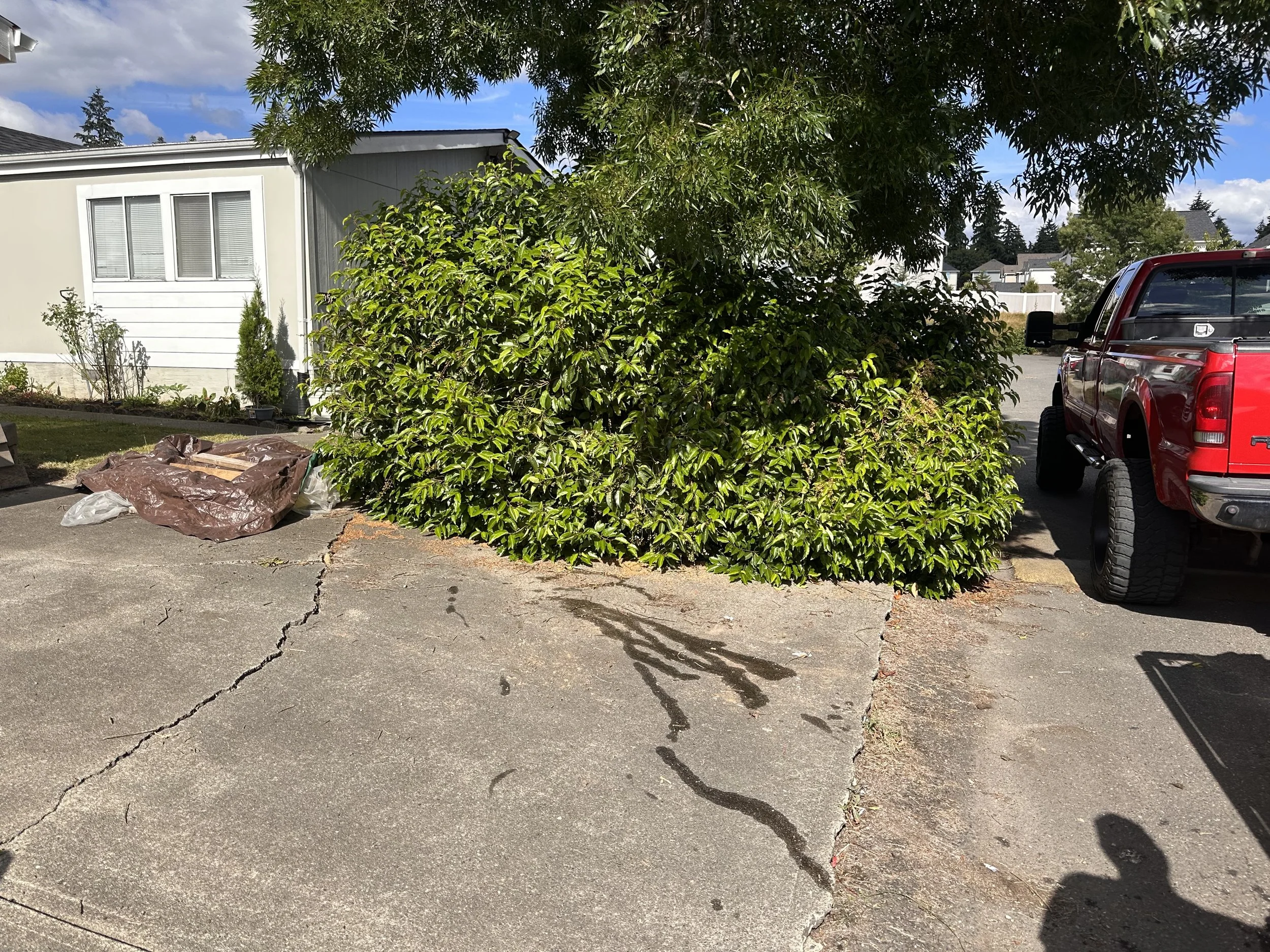 Residential driveway in Puyallup, WA, cleared of wooden pallets, scrap lumber, and household junk after pickup.