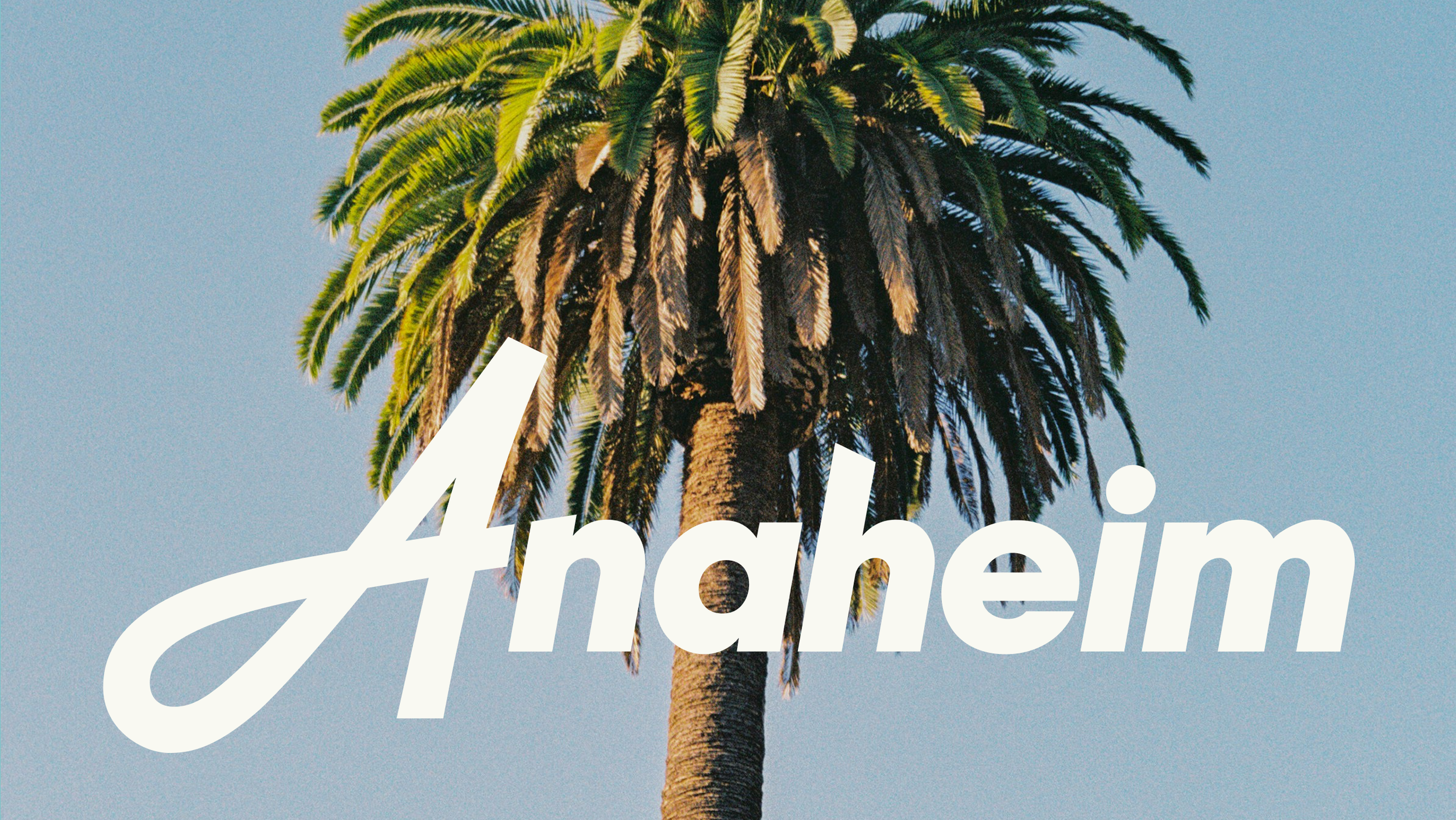 RWVisitAnaheim03.png