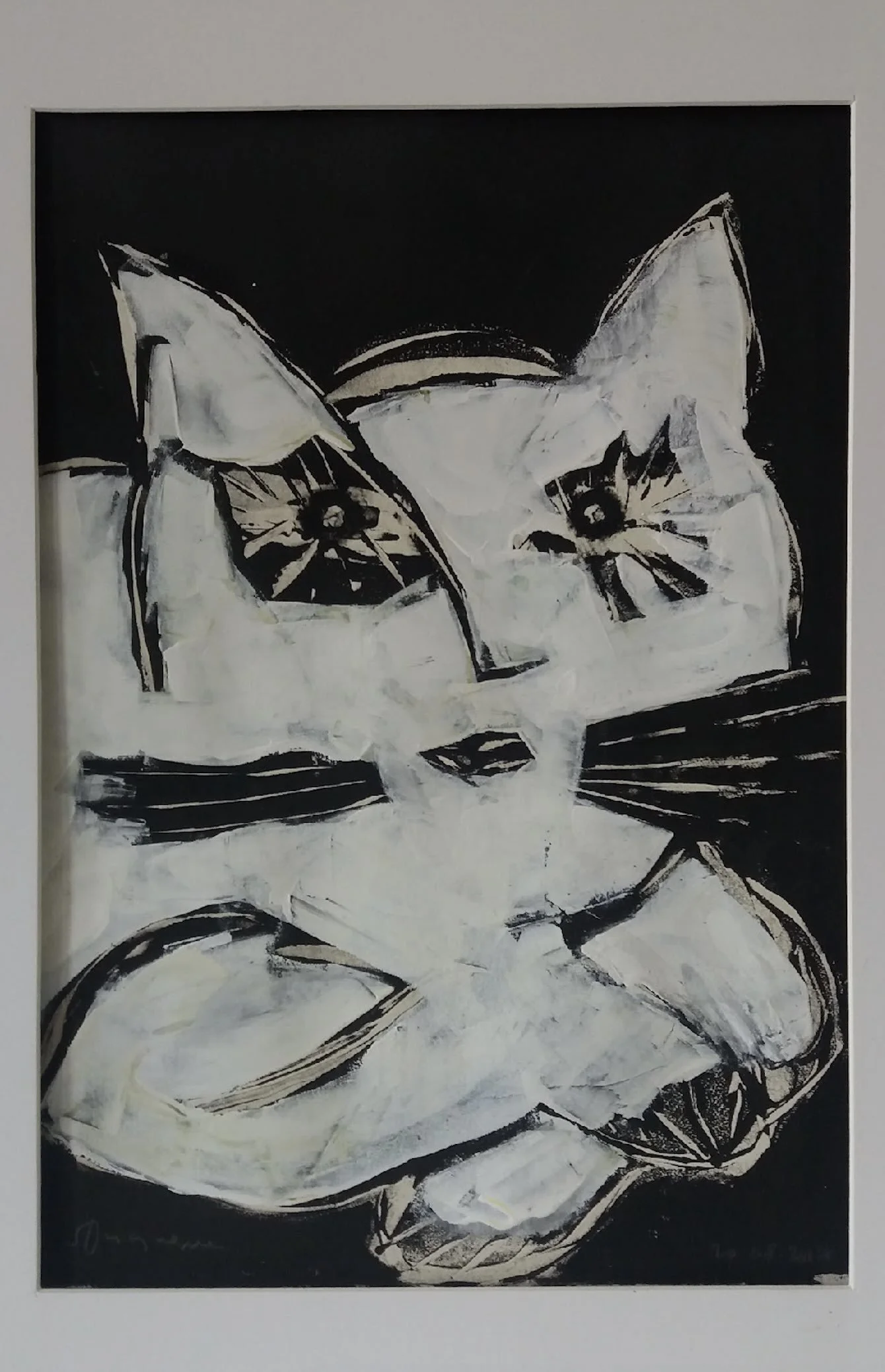 Chat blanc