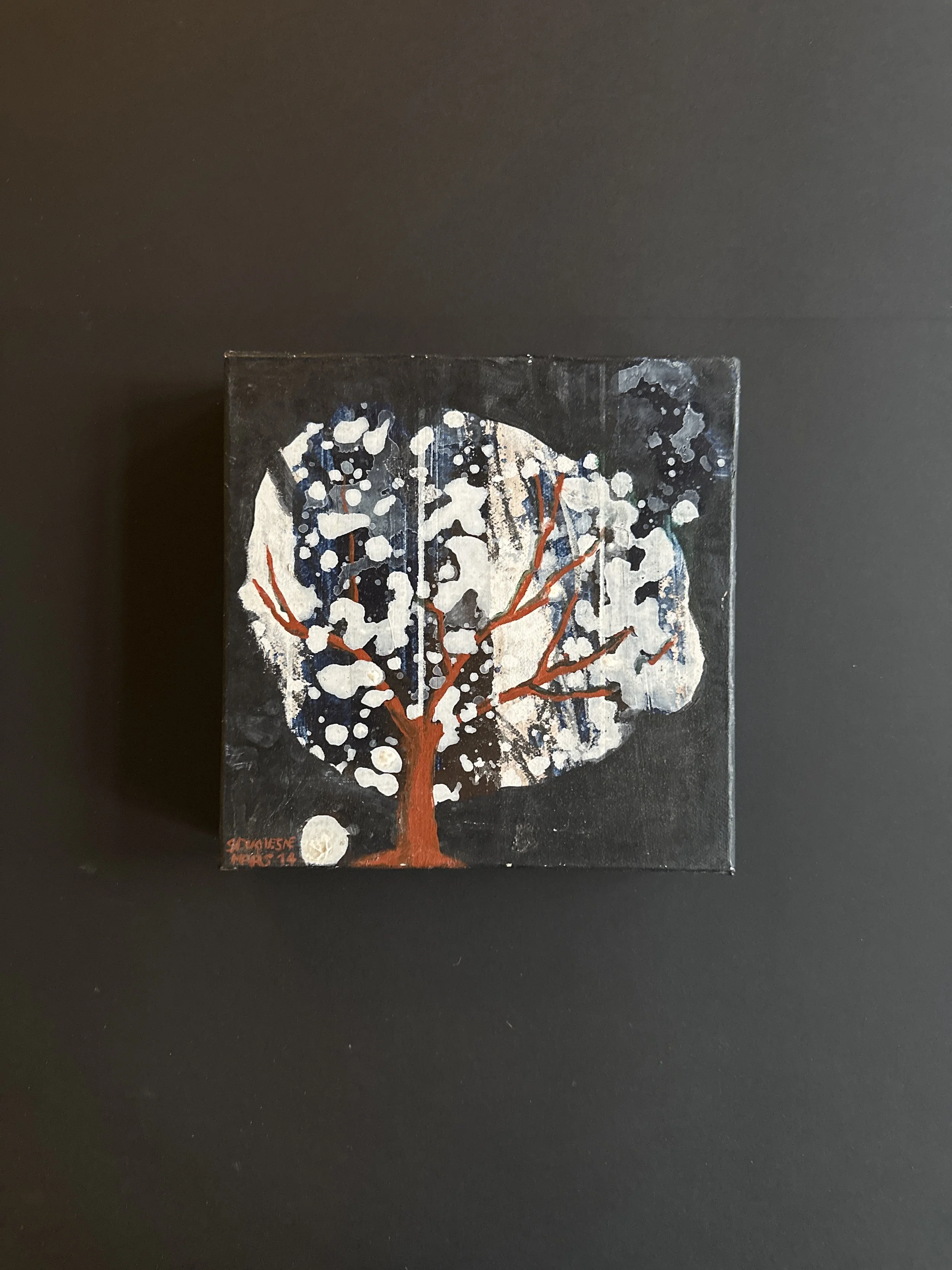 "Arbre de lumière "