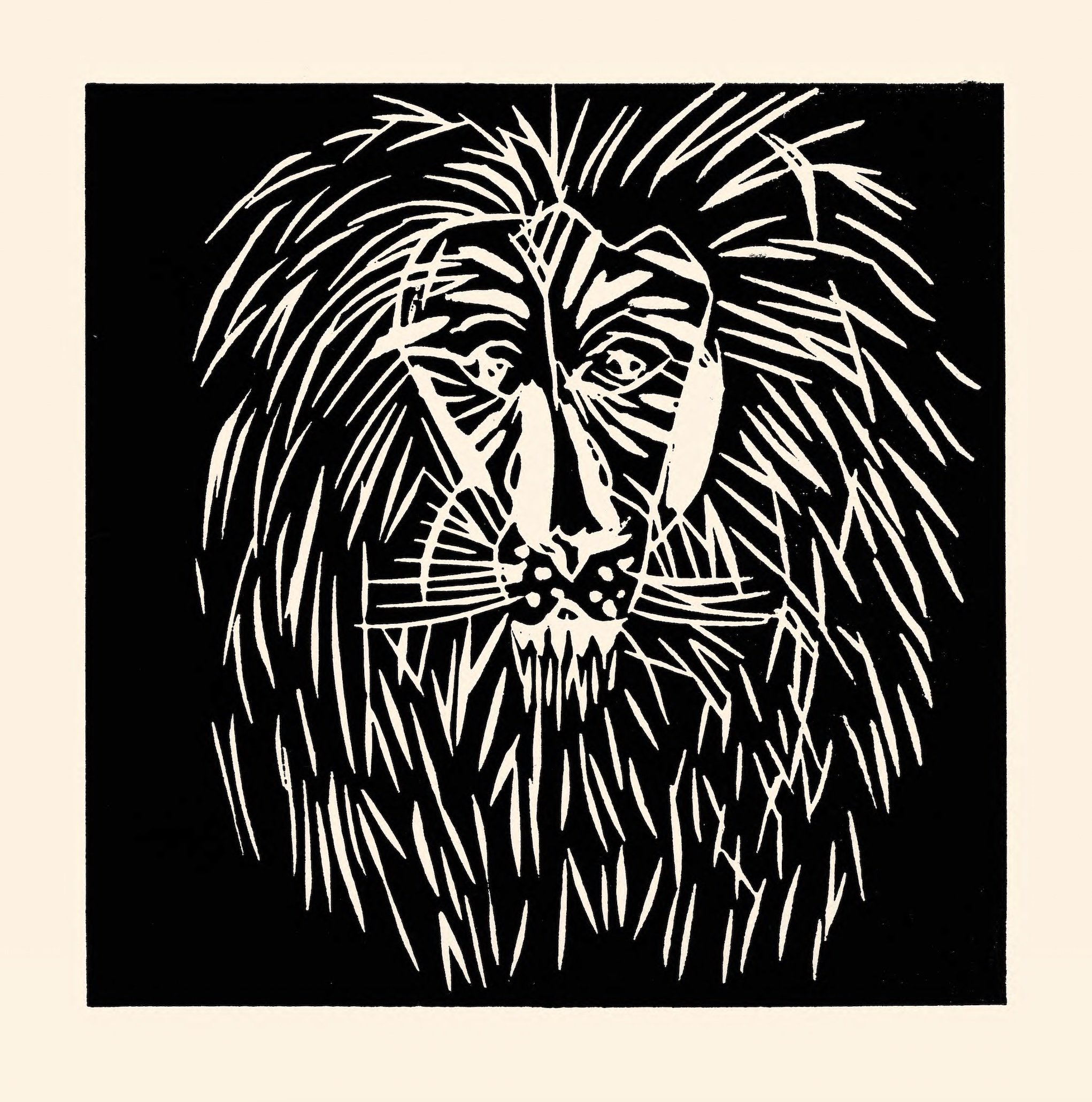 "Lion Cécil", édition