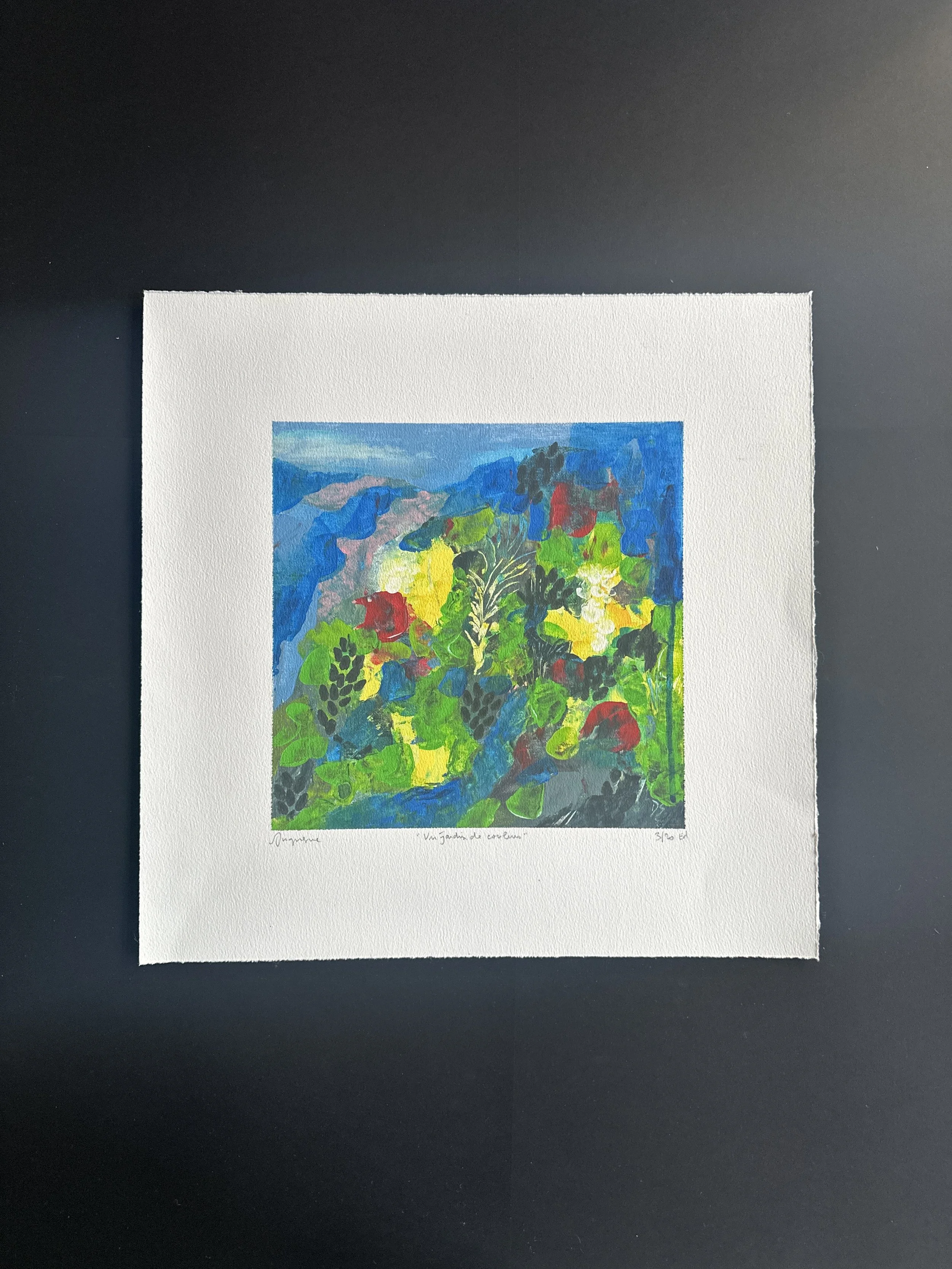 "Un jardin de couleurs", édition