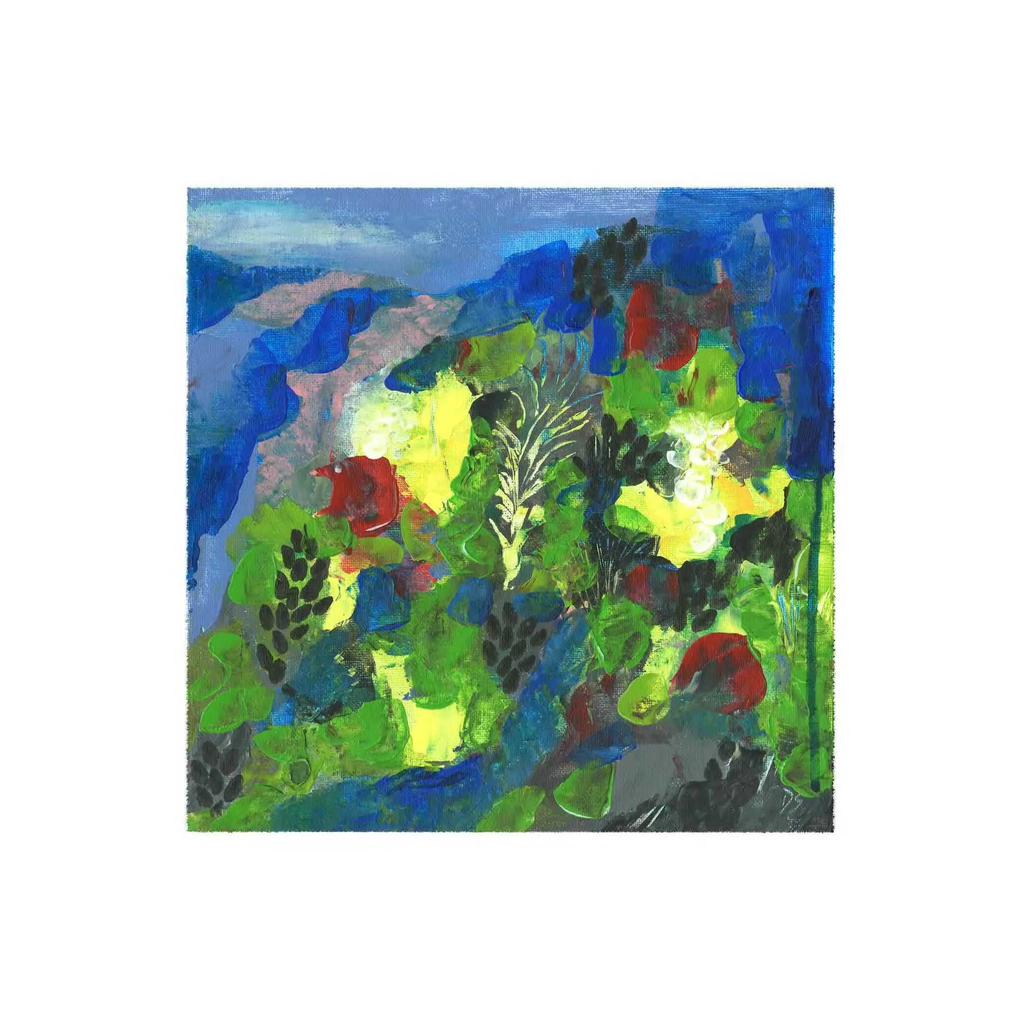 Un jardin de couleurs.jpg