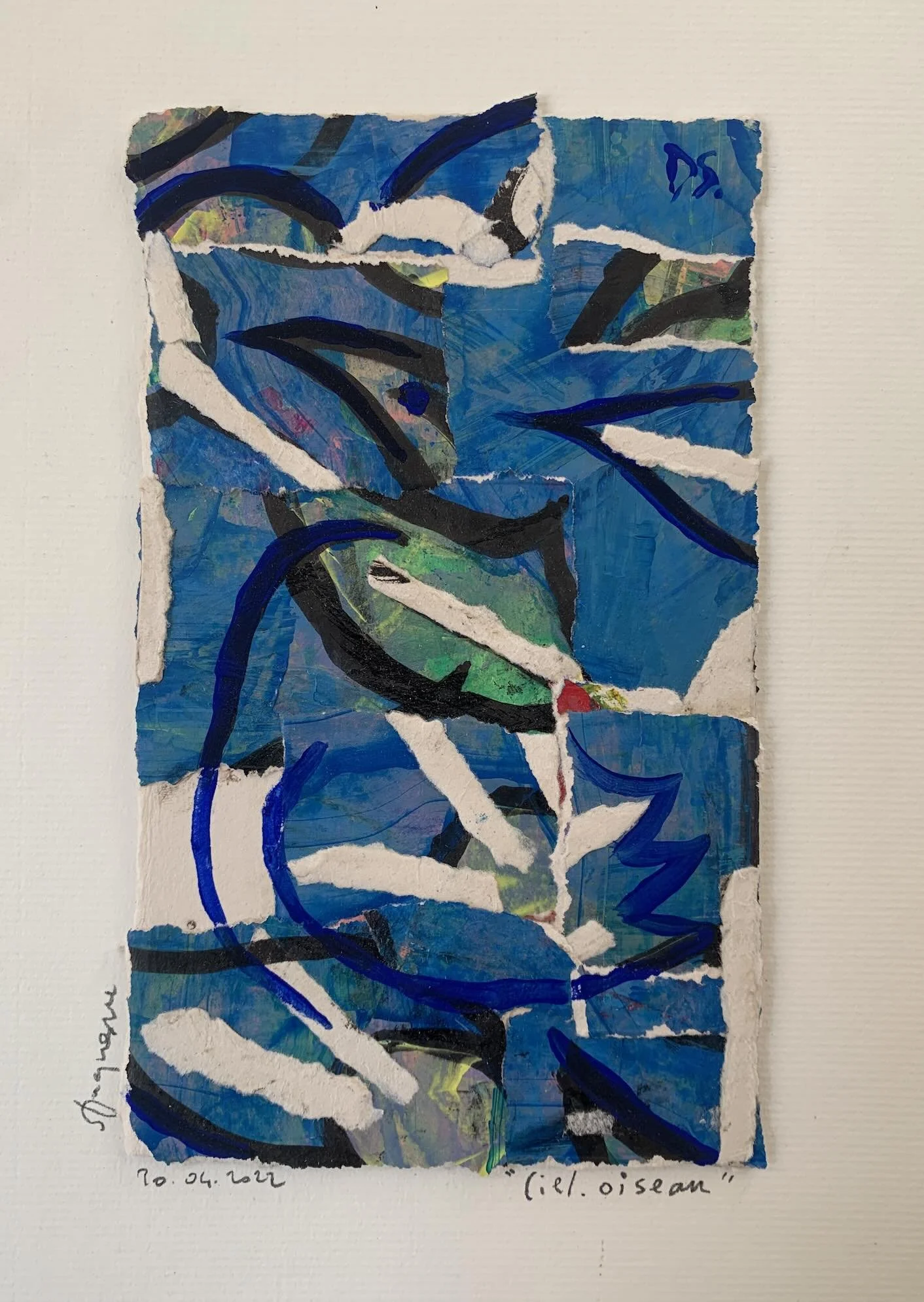 Ciel oiseau.jpg