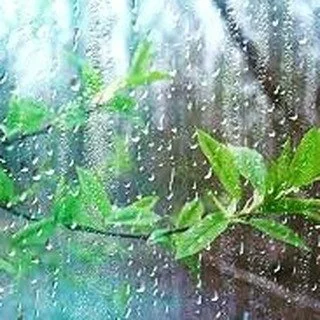 Worried about the GRH Summer Party? Well don't be, we've got it sorted! There'll be a number of gazebos to take cover under should there be a downpour!

In true British festival style, don't forget to bring your waterproofs, chairs and umbrellas!

It