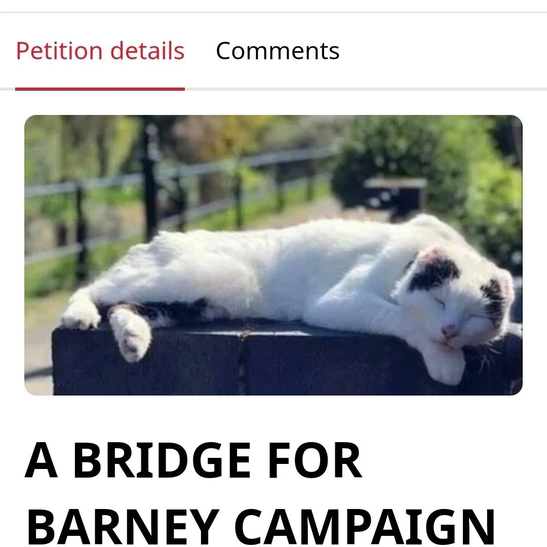 PLEASE SIGN OUR PETITION TO HAVE A BRIDGE NAMED AFTER ENFIELD'S LEGENDARY CAT!
Barney was probably the most famous cat in the whole of Enfield.
He spent most days out on River View &ndash; particularly when it was sunny. His favourite spot was the br