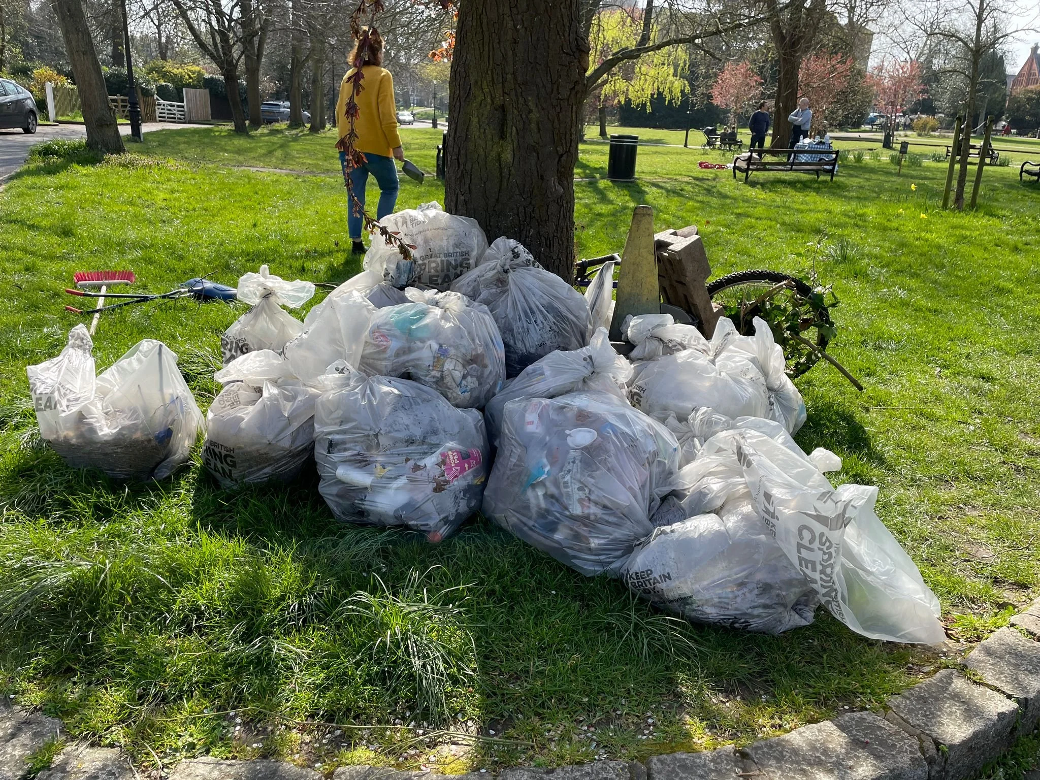 Litterpick.6.jpeg
