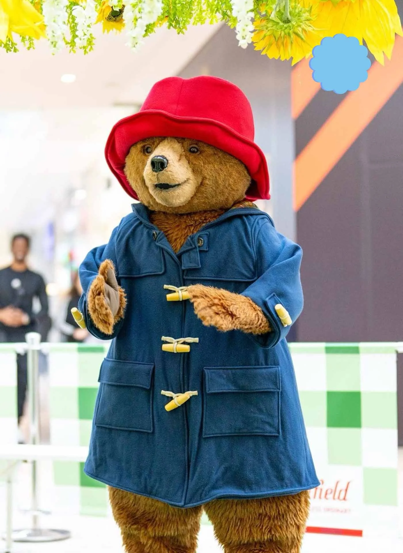 PADDINGTON