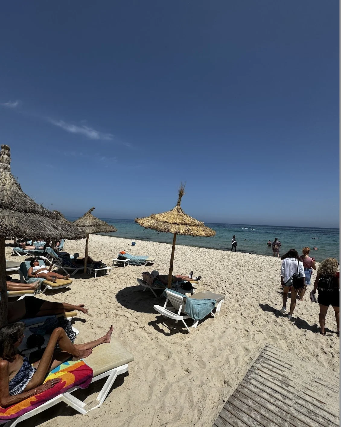 Imagine din 06.02.2025 la 13.50 (1).jpeg