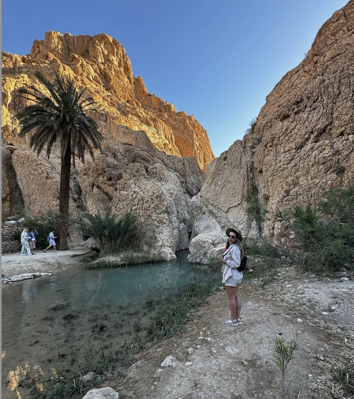 Imagine din 06.02.2025 la 13.51.jpeg