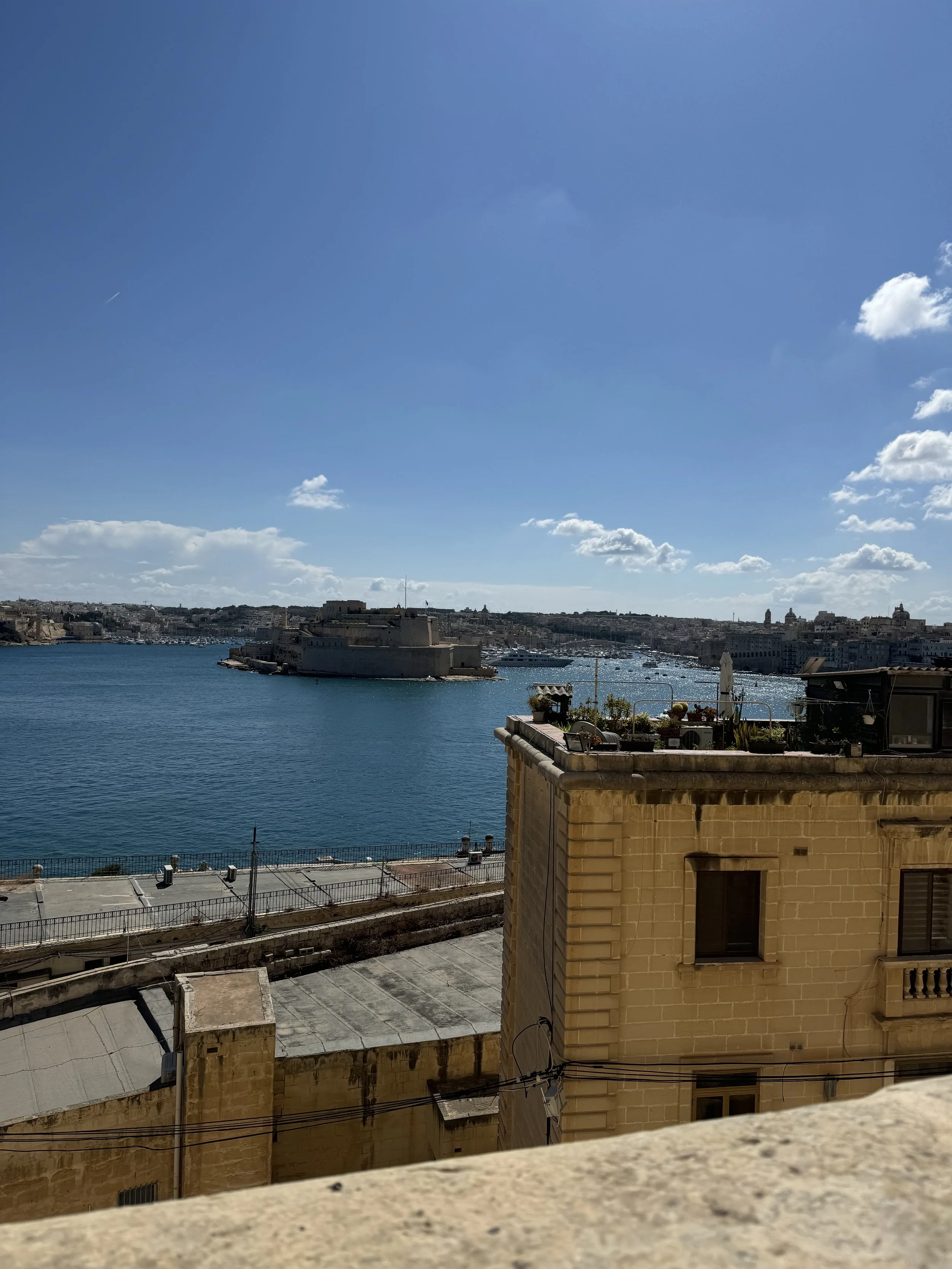 IMG_0799.jpeg