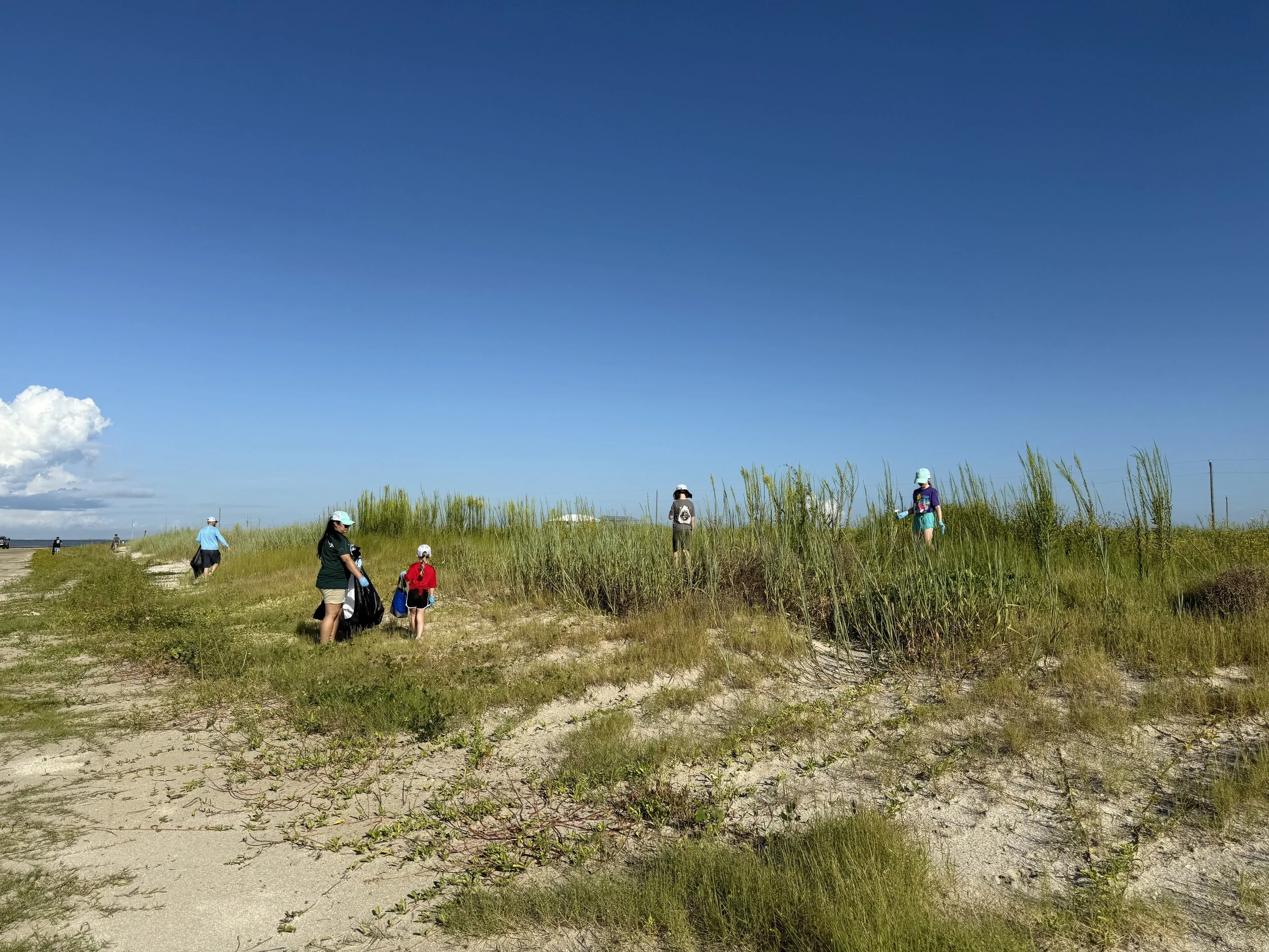 Cameron Beach Sweep