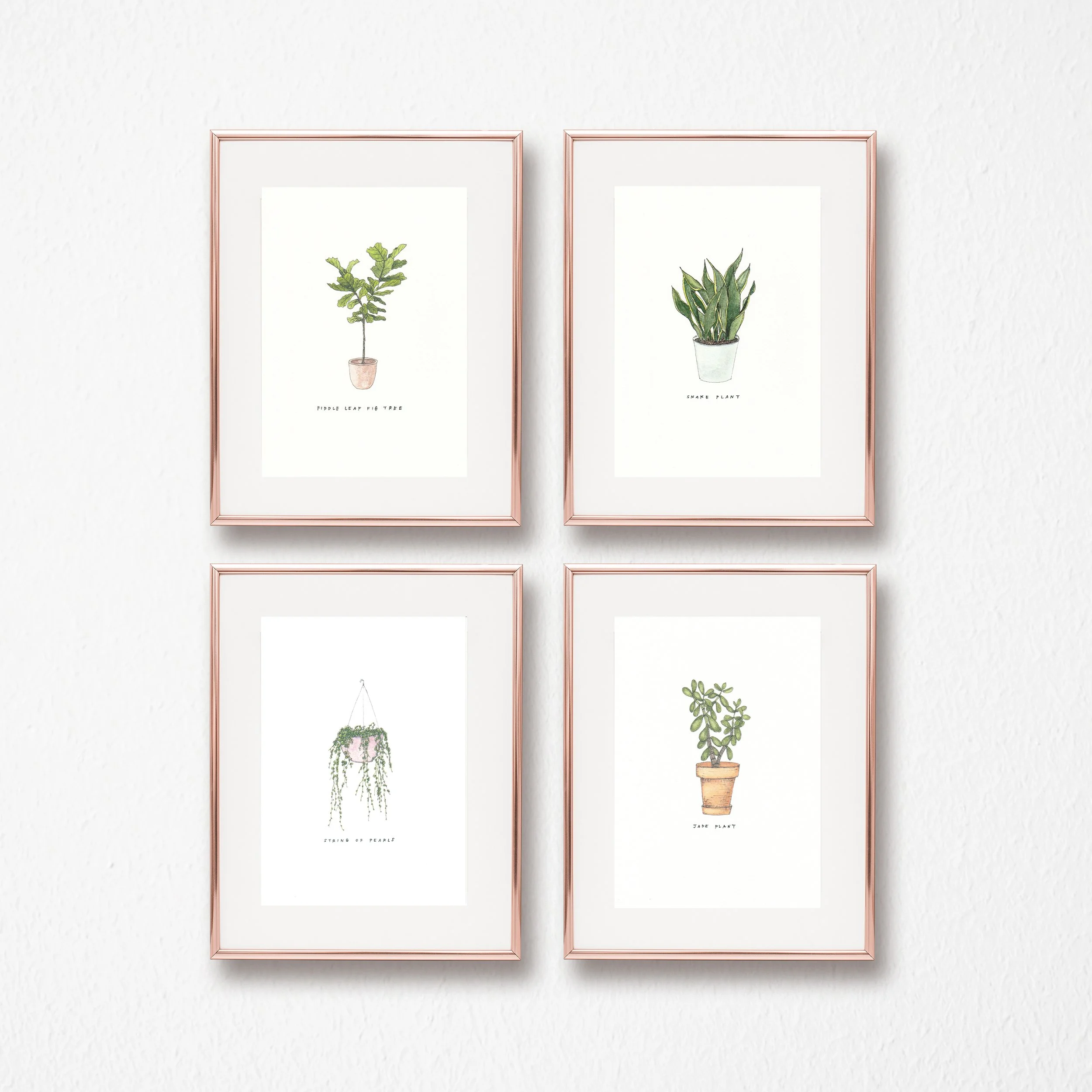 Framed Houseplant Print Collection Stock Photo.jpg