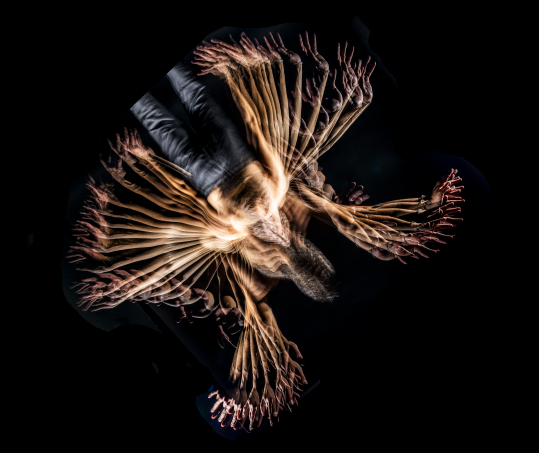 Screenshot 2025-12-09 012726.png