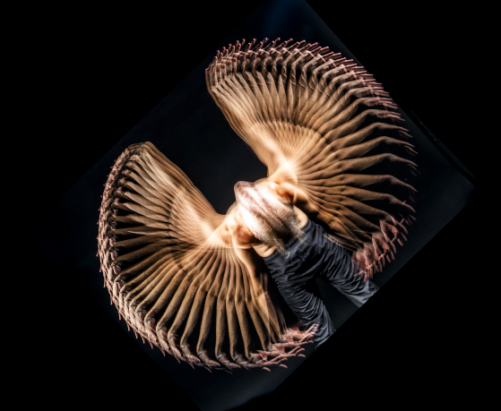 Screenshot 2025-12-09 012741.png