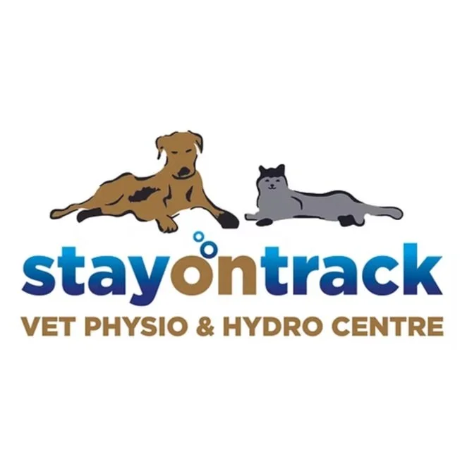 Screenshot 2025-04-10 at 20.24.40.jpg