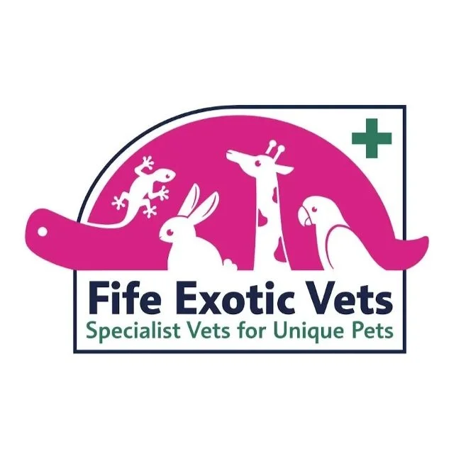 Screenshot 2025-04-10 at 20.27.49.jpg