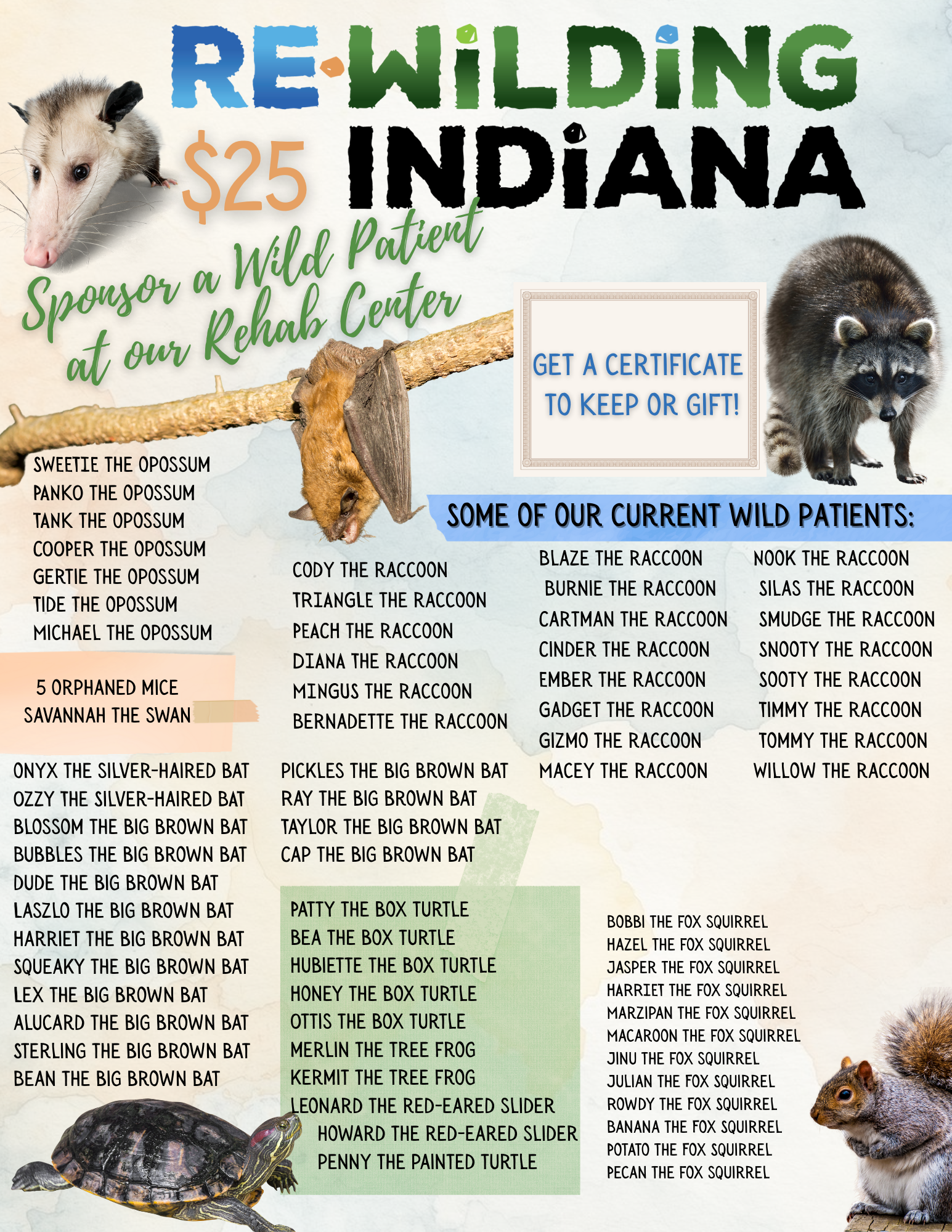 Sponsor an Wild Patient at our Rehab Center
