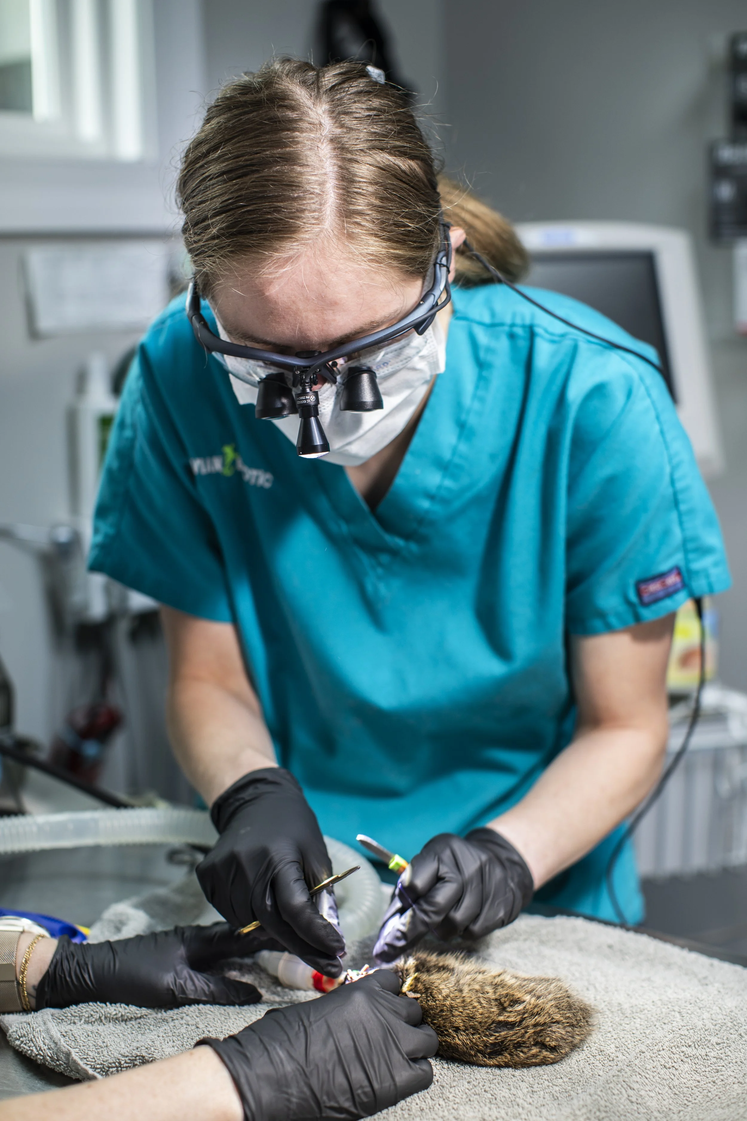 Dr. Amanda Hirschman, ECM Resident