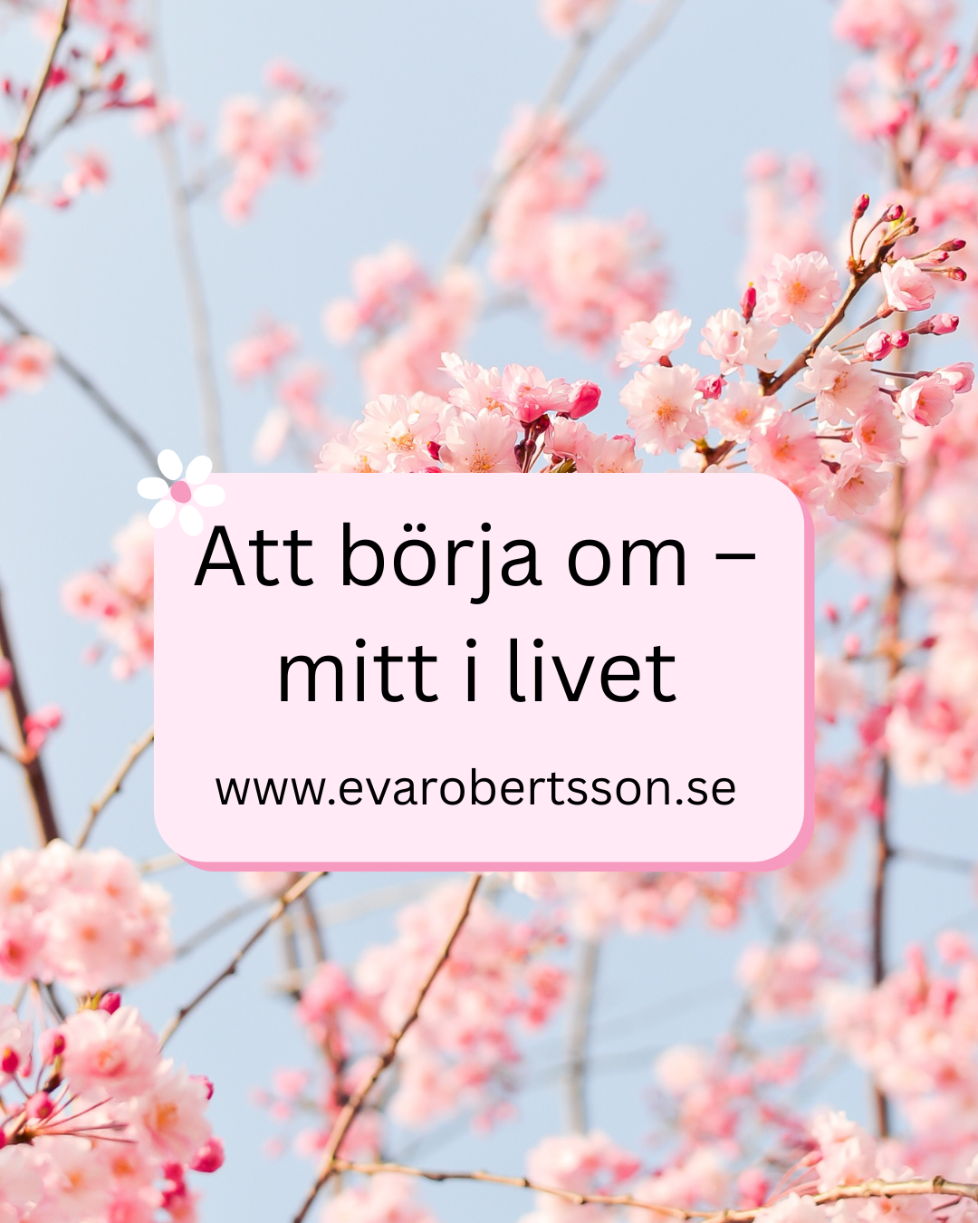 Att börja om - mitt i livet.