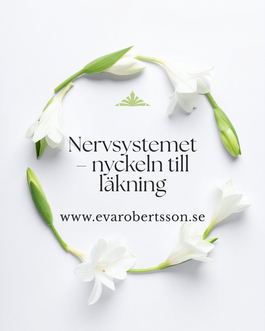 Nervsystemet — nyckeln till läkning 