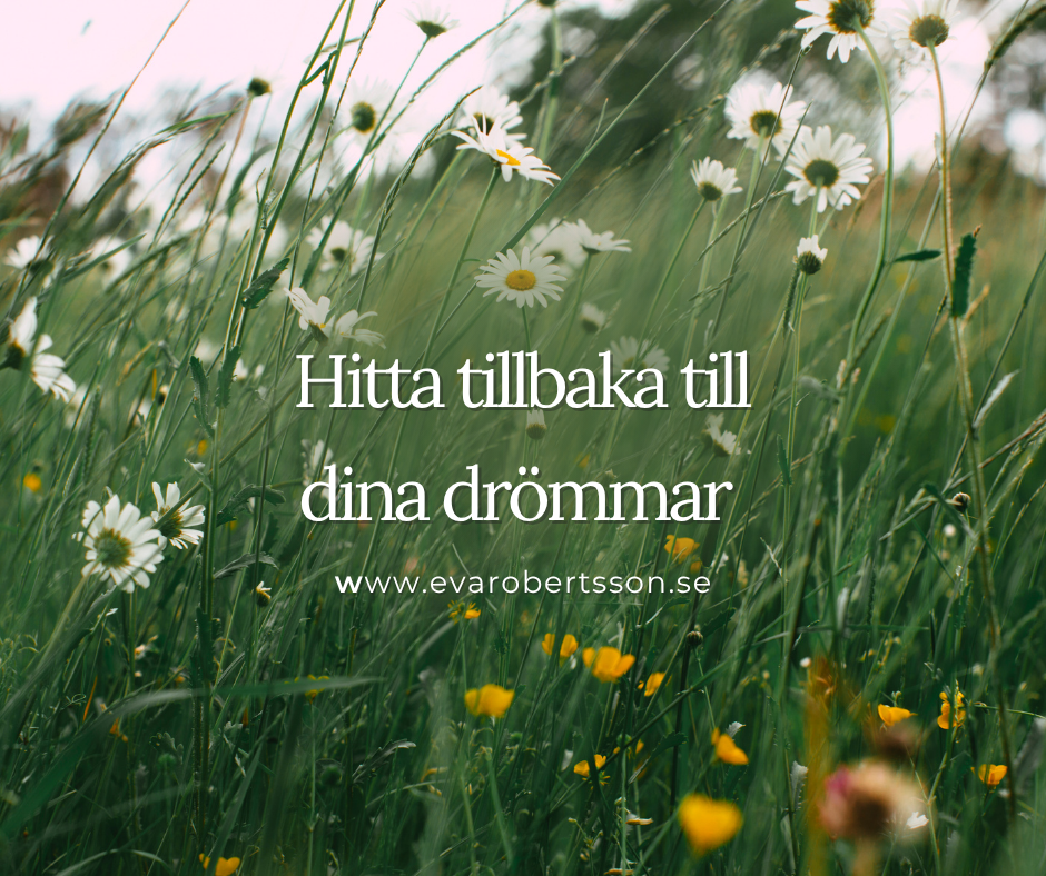 Hitta tillbaka till dina drömmar – en väg till självkänsla, läkning och inre trygghet