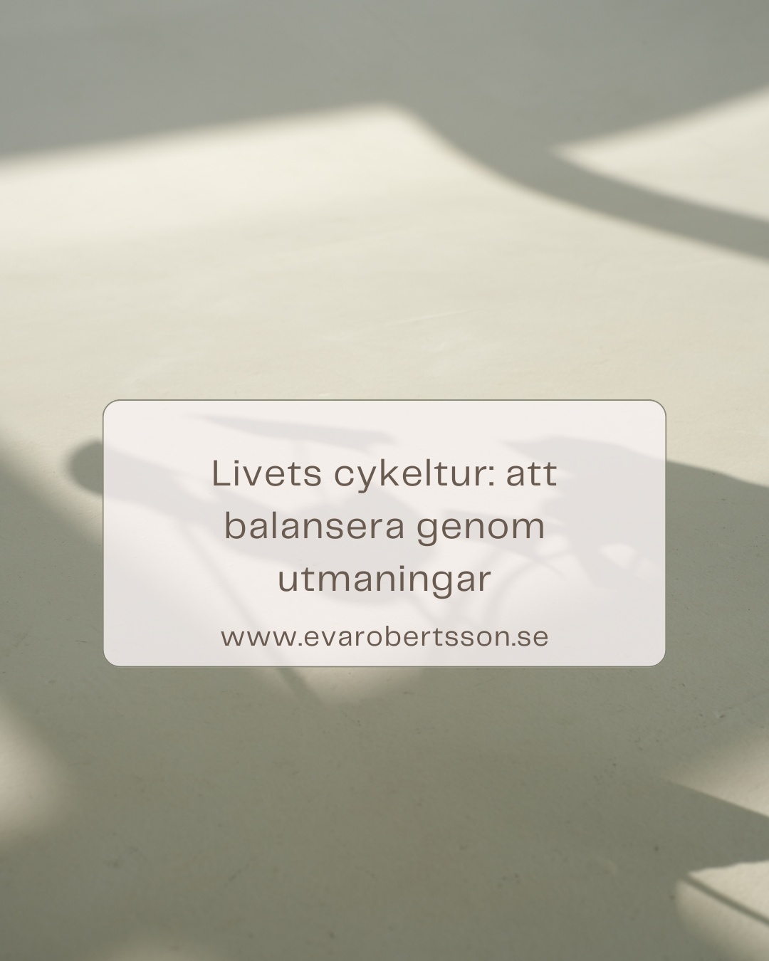 Livets cykeltur: att balansera genom utmaningar