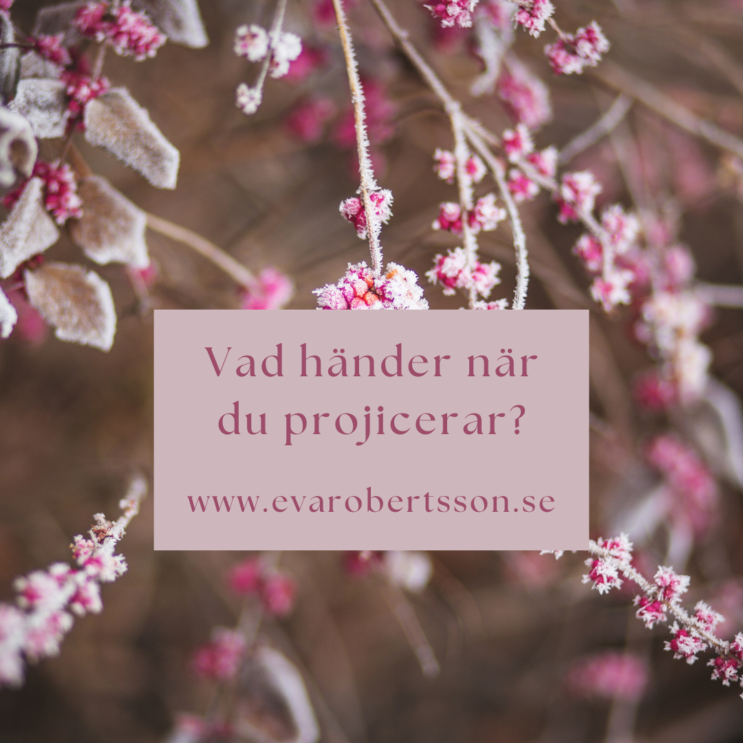 Vad händer när du projicerar? – om självkännedom, känslor och inre trygghet
