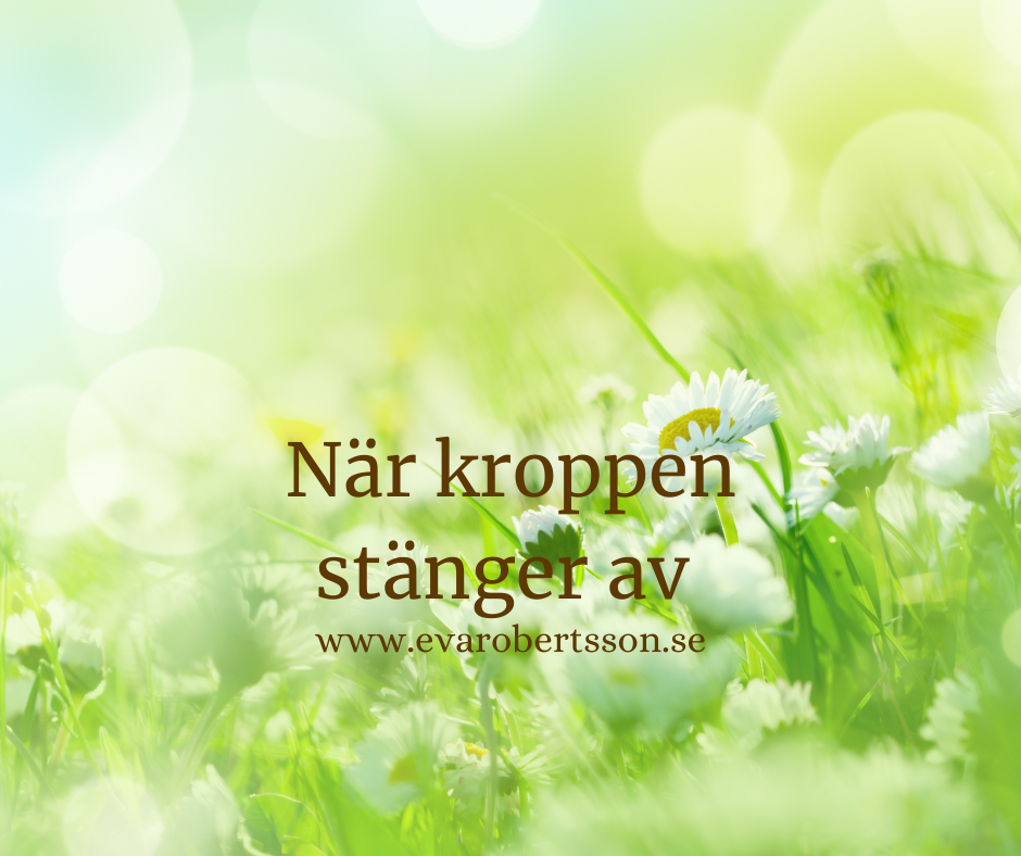 När kroppen stänger av – att återfå självkänsla, trygghet och förmågan att sätta gränser