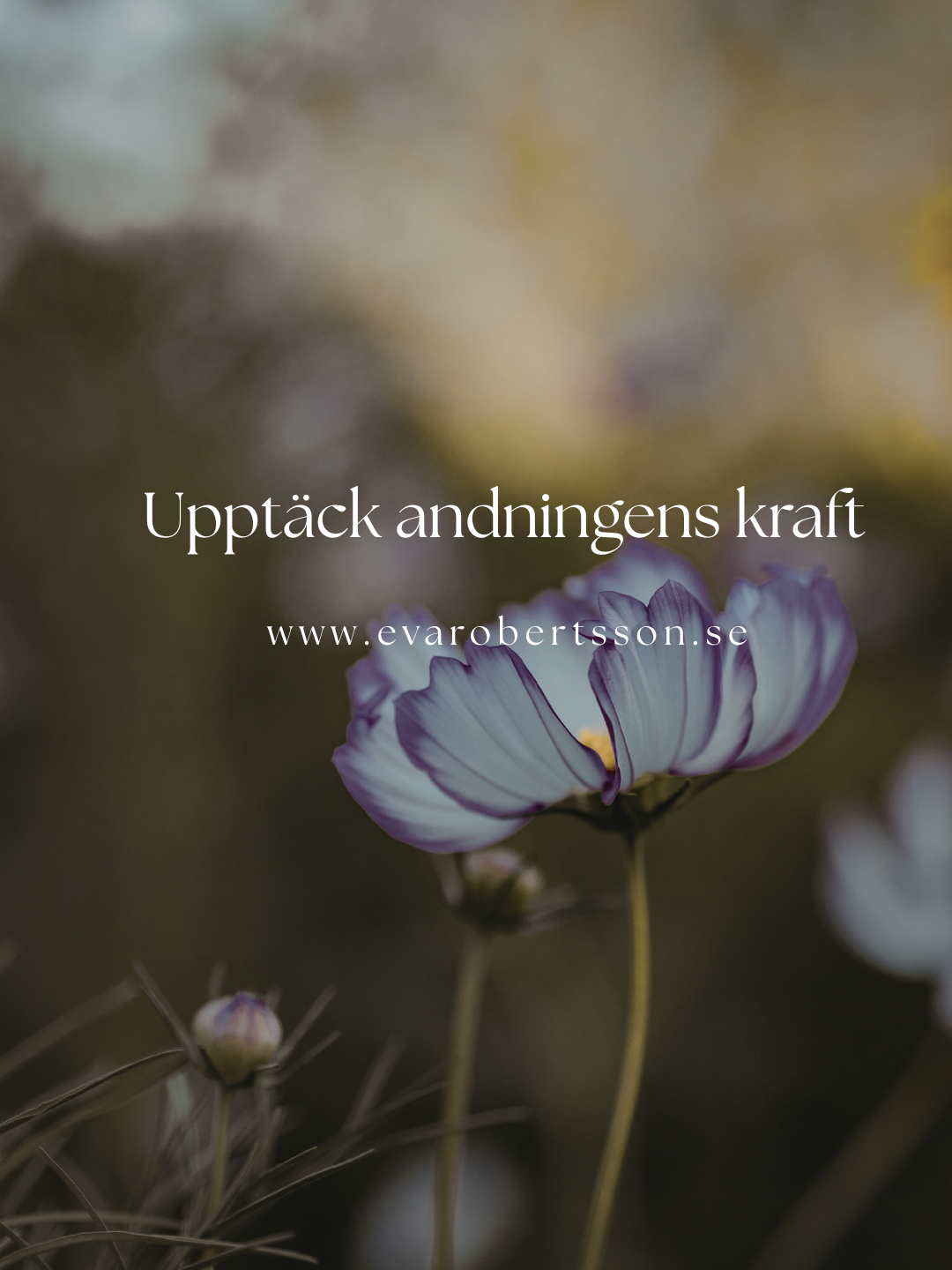 Upptäck andningens kraft – din väg till mer lugn
