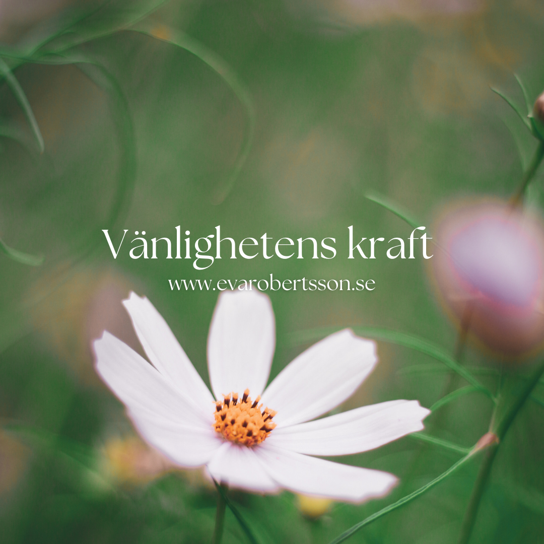 Vänlighetens kraft – hur små handlingar kan förändra liv och bygga broar