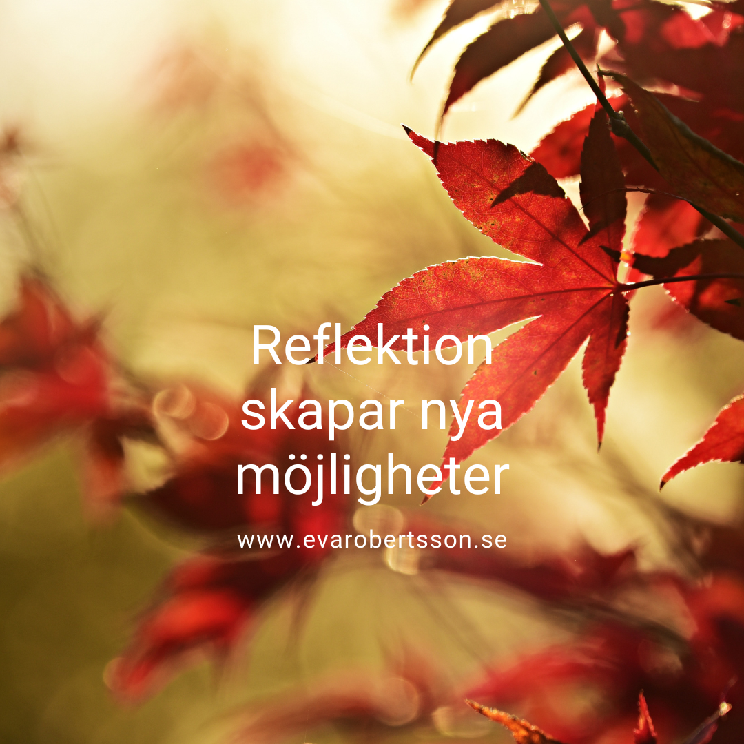 Reflektion skapar nya möjligheter