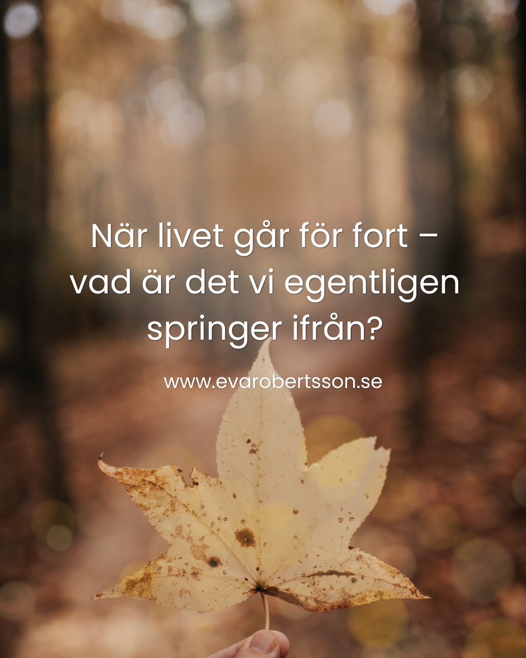 När livet går för fort – vad är det vi egentligen springer ifrån?